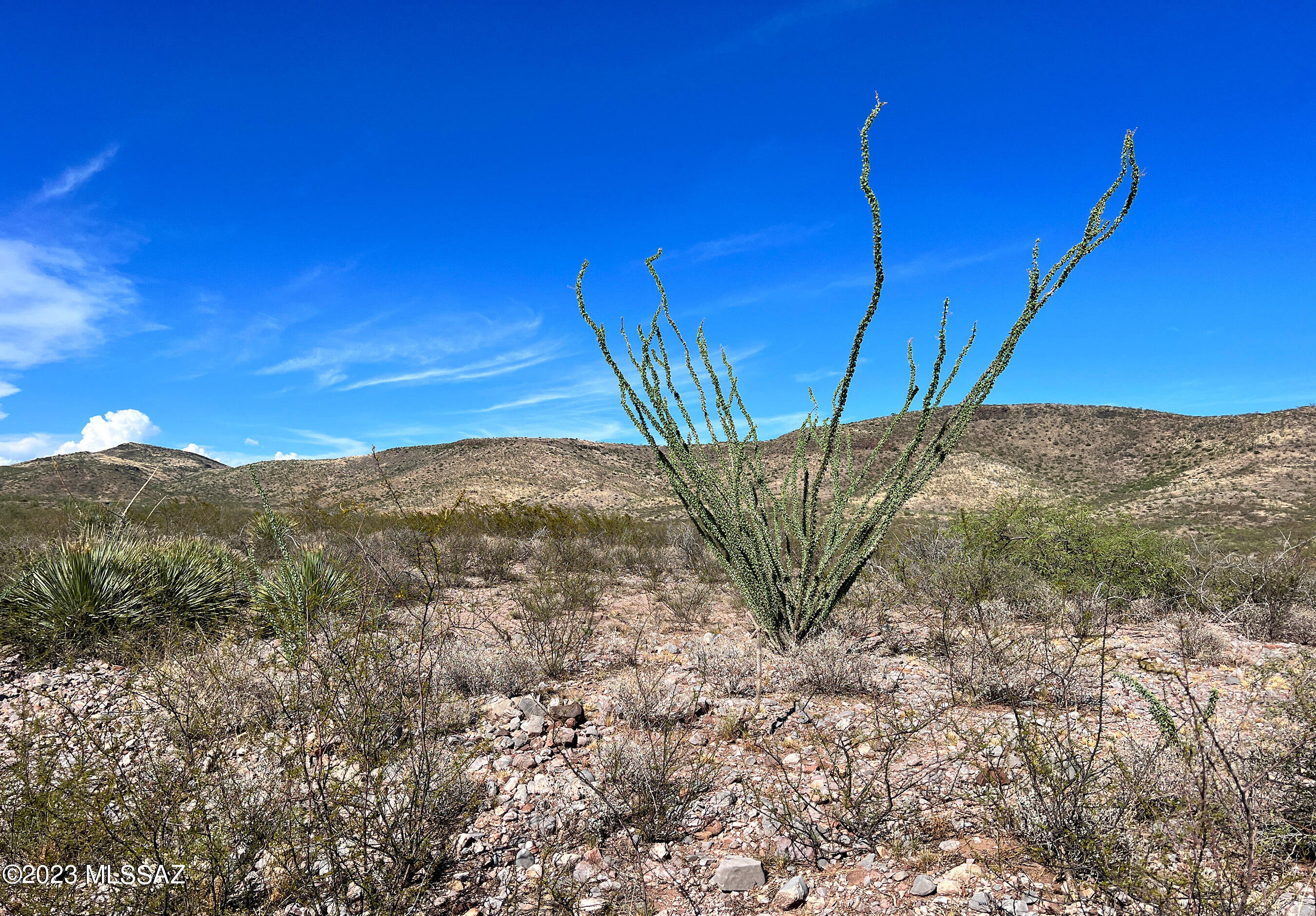 Out Of Pima County - Land