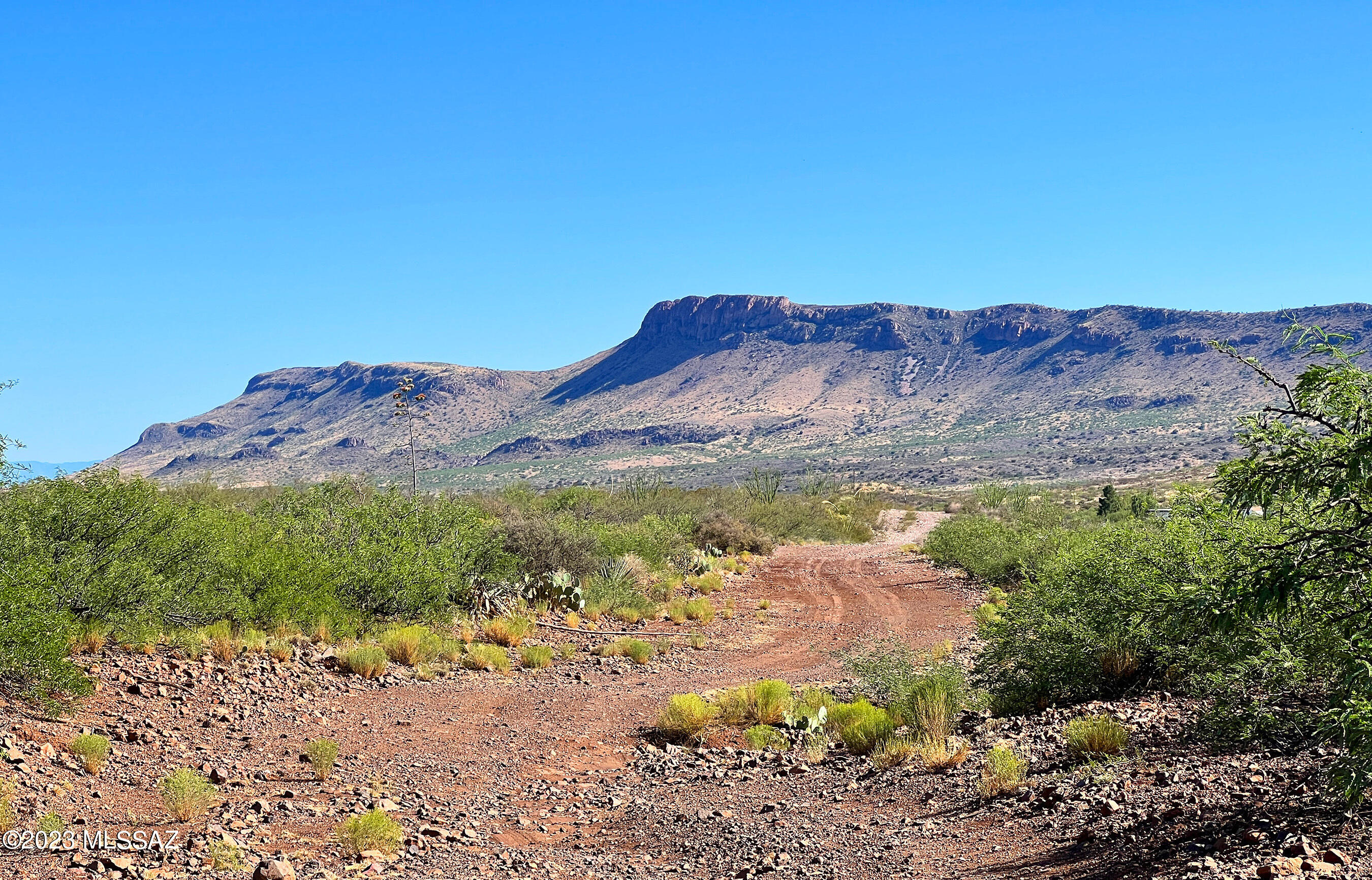 Out Of Pima County - Land