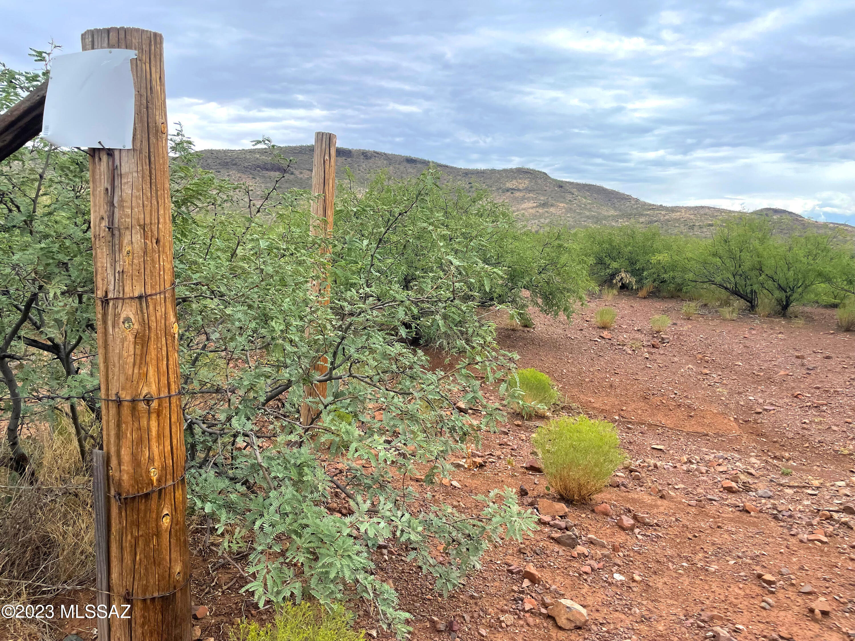 Out Of Pima County - Land