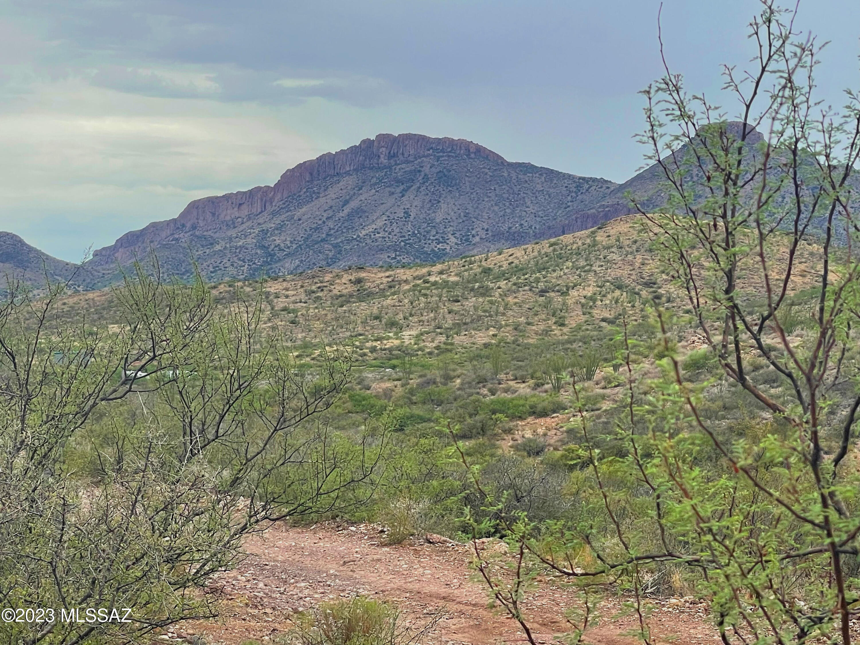 Out Of Pima County - Land