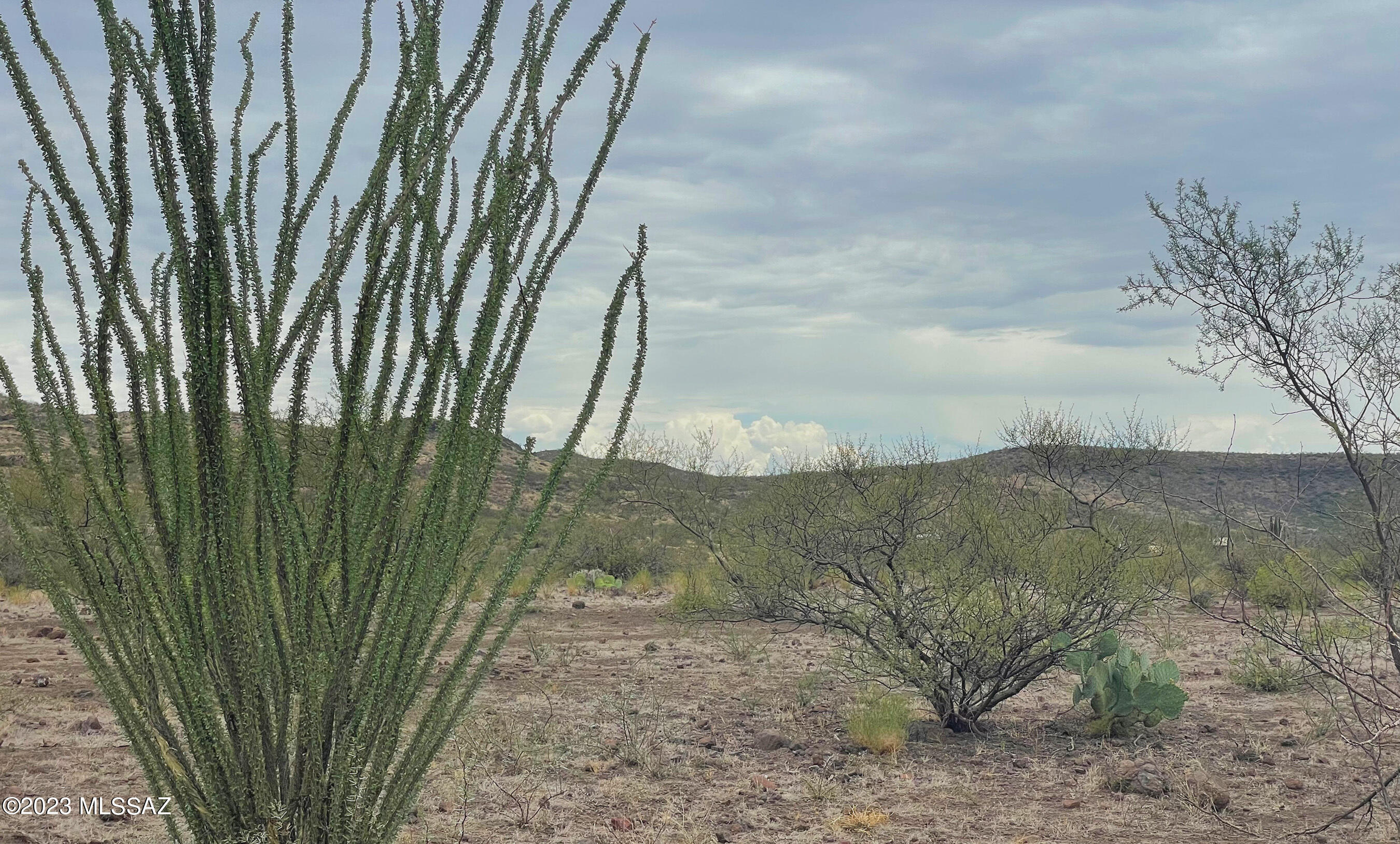 Out Of Pima County - Land