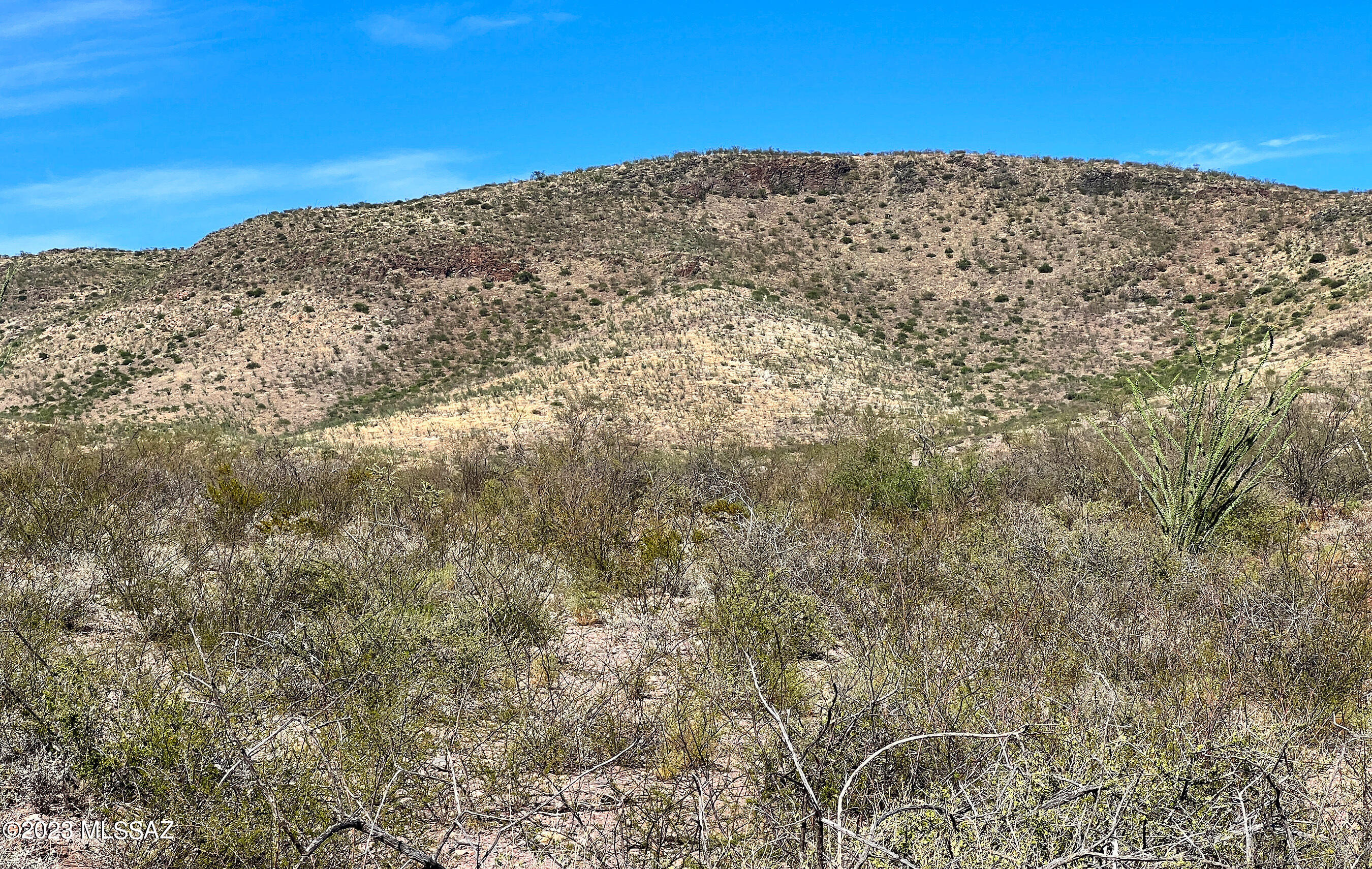 Out Of Pima County - Land