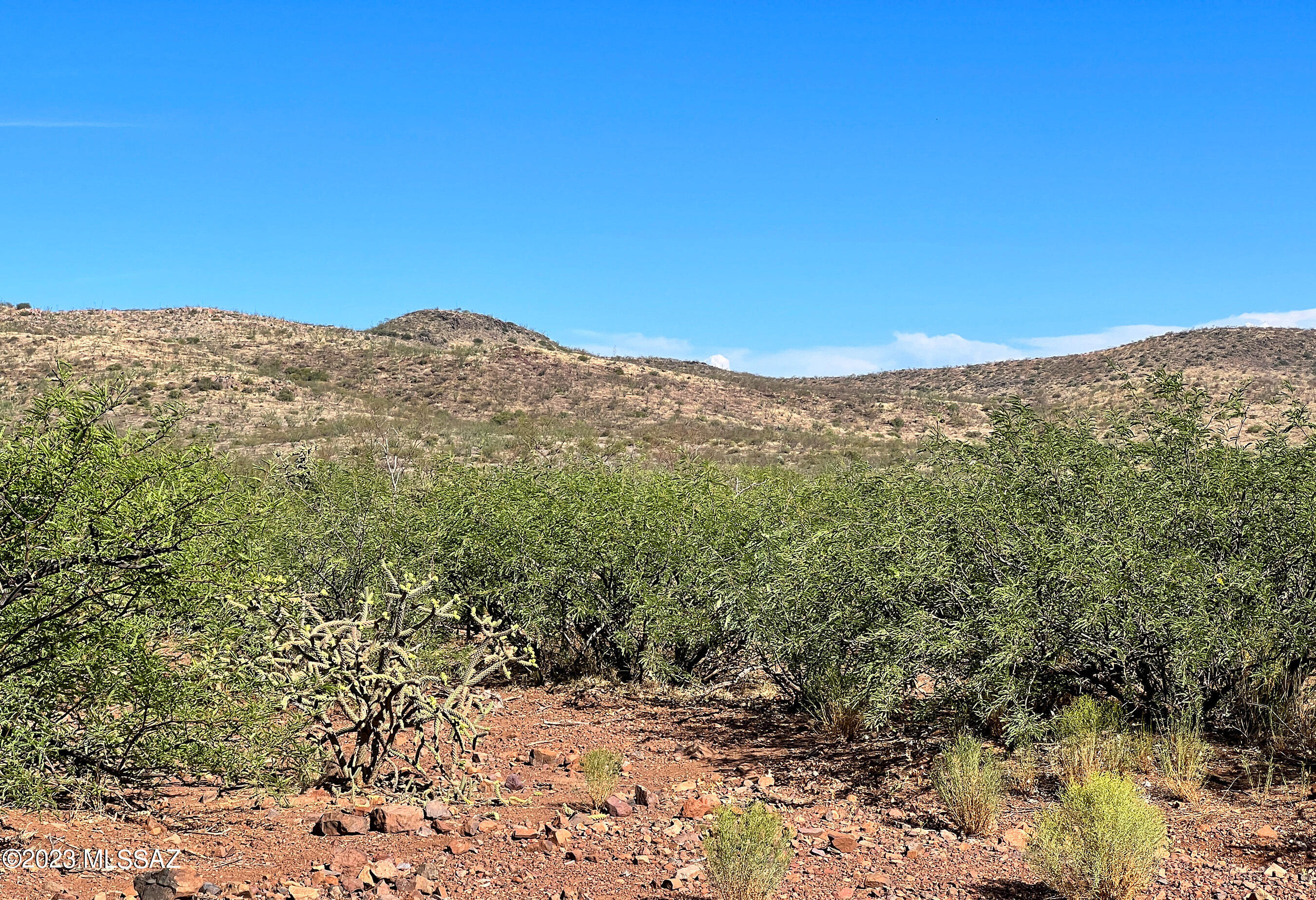 Out Of Pima County - Land