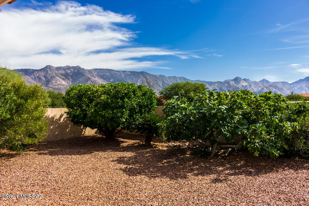 Mountain views, sunset views,180-degree views from this amazing location. We have a wash on the side and a larger green belt behind us. This is a great location. You are in your own, private oasis on the back porch. The mature vegetation, lemon tree, fig tree and cacti enhance the setting. The Laredo floorplan is a favorite for a reason. There is a big kitchen w/ island, an eating area, new backsplash and a breakfast bar. The living area is open, has soaring ceilings, great natural light and a plant shelf for your collectables. Sellers opted for the 3 bedroom model, giving you options to fit your lifestyle. There is a ton of storage in the laundry room, garage, shed and huge walk-in closet in the master suite. Life is good in SaddleBrooke and this is a great place to start.