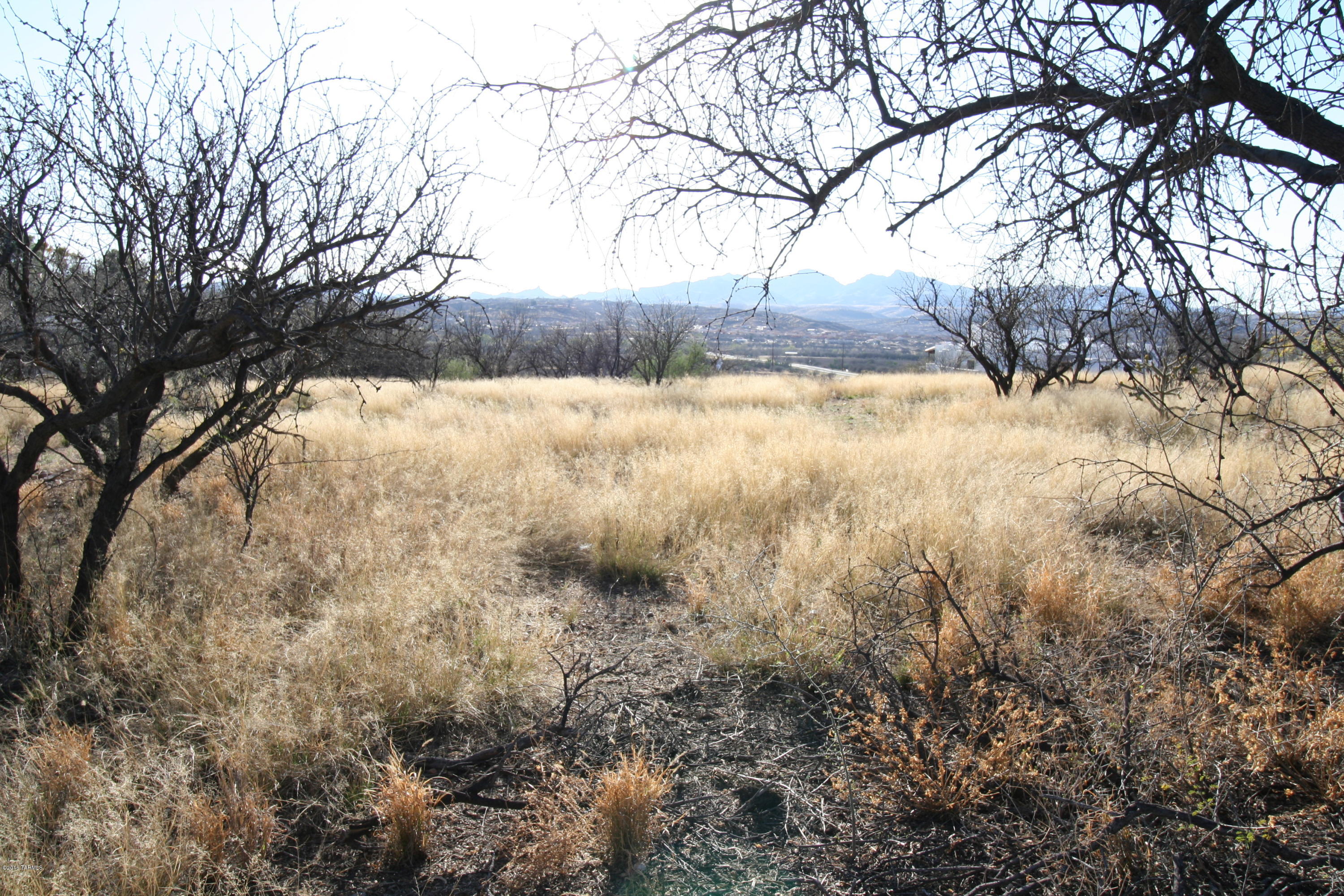 Rio Rico Estates 3 - Land