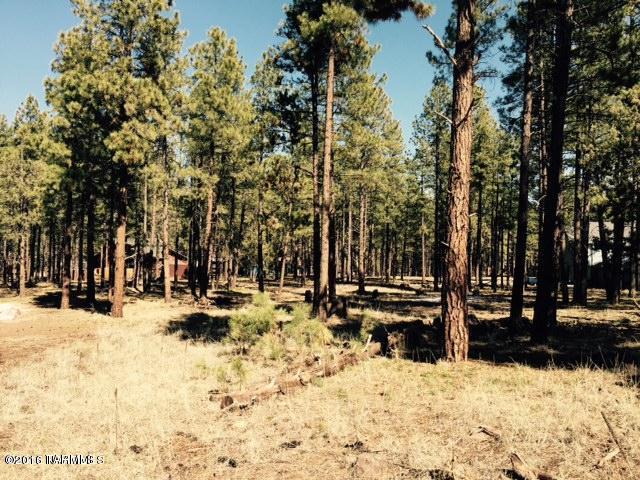 Build your home in the pines on this beautiful lot.