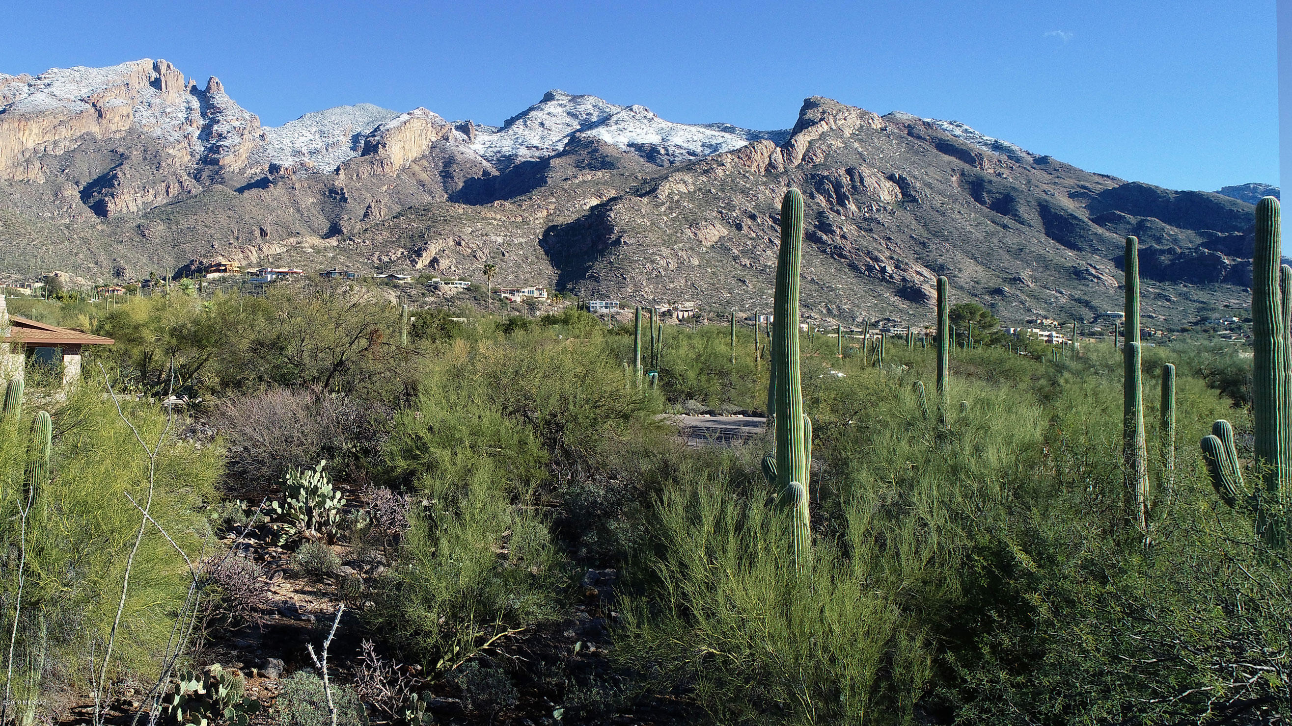 Coronado Foothills Estates - Land