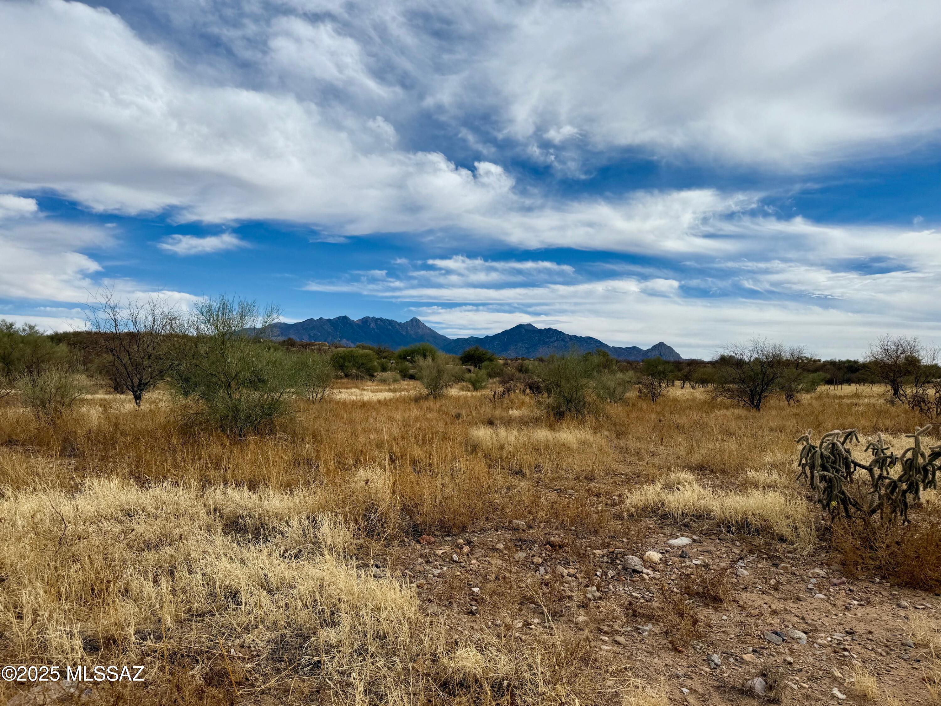 Discover an incredible opportunity to build your dream home on this expansive 1.83-acre lot in the prestigious Colonia Real subdivision. Nestled at the foothills of Madera Canyon, this homesite offers breathtaking mountain views, stunning desert landscapes, and a peaceful atmosphere, all while being conveniently located near shopping, dining, medical facilities, and golf courses. Colonia Real is a unique, non-age-restricted community featuring underground utilities to preserve the natural beauty of the area. This lot is primed for custom home construction, offering the flexibility to work with your preferred builder and create a residence that perfectly complements the striking desert surroundings. Lot is flat, buildable and electric, phone and water on site.
