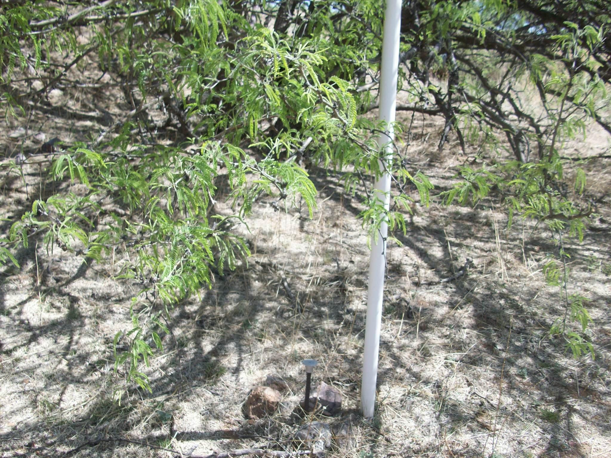 Lake Patagonia Ranch - Land