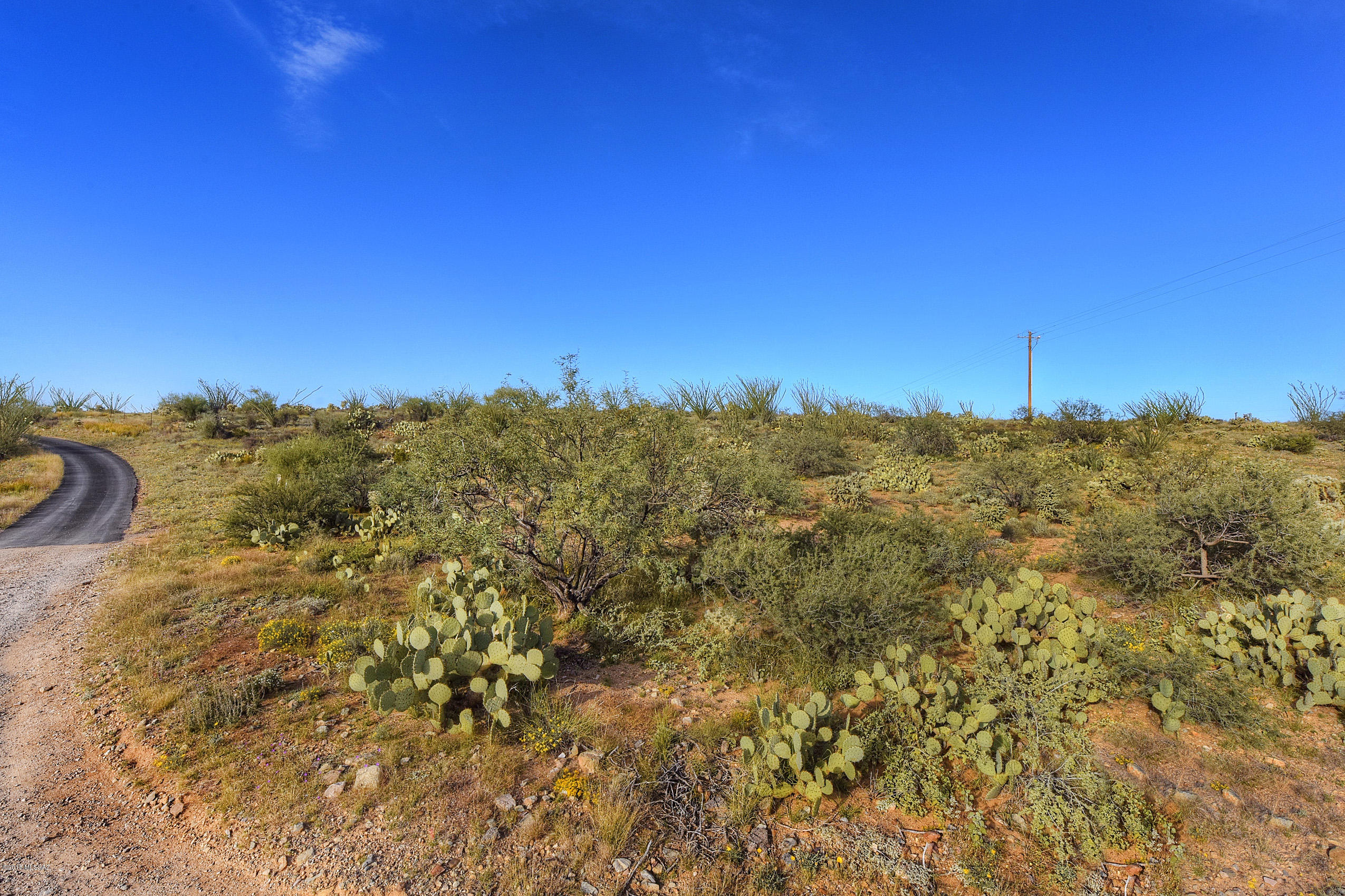 New Tucson Unit NO. 6 (1-75) - Land