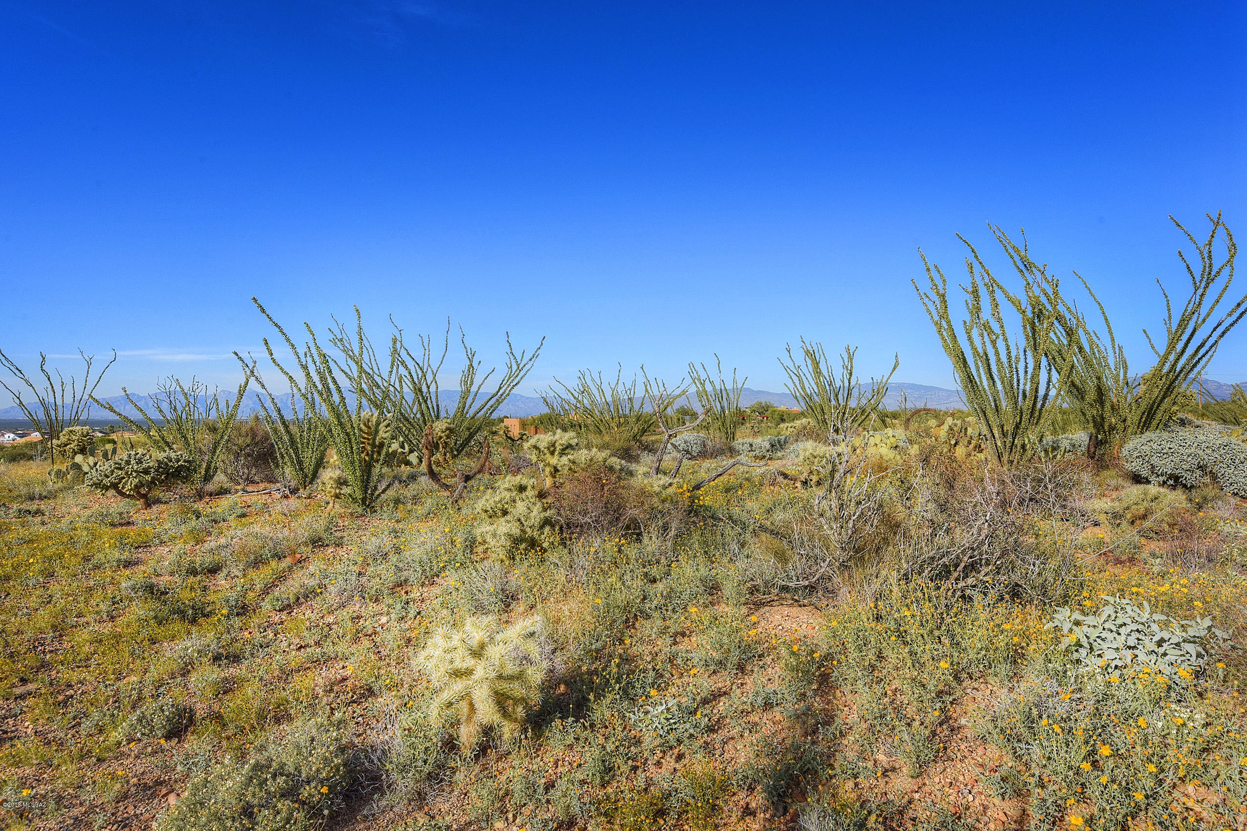 New Tucson Unit NO. 6 (1-75) - Land
