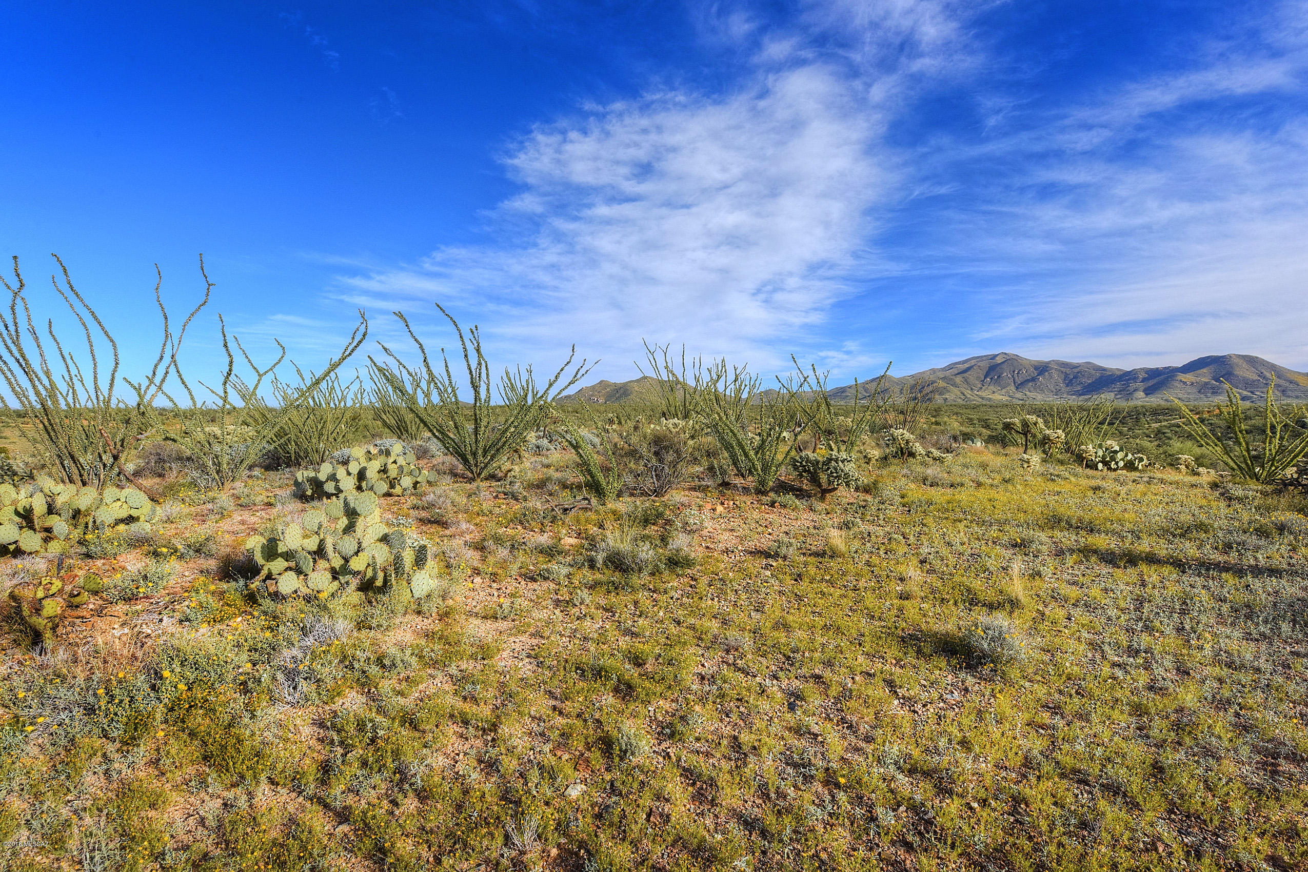 New Tucson Unit NO. 6 (1-75) - Land