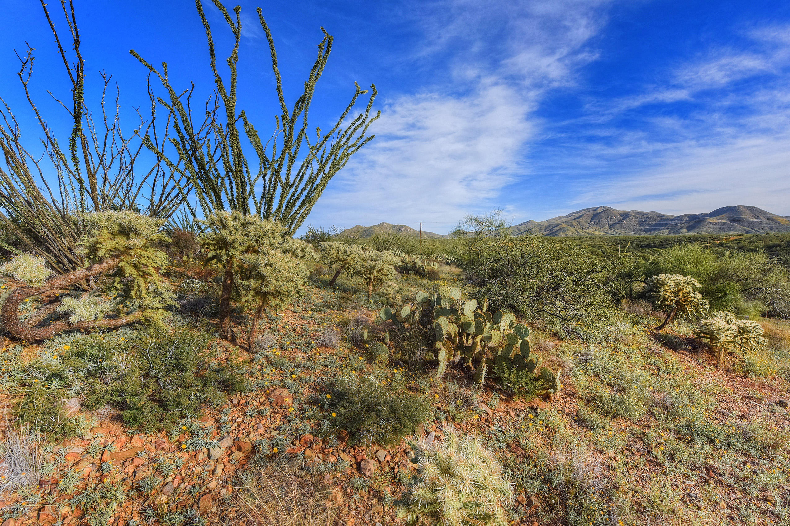 New Tucson Unit NO. 6 (1-75) - Land