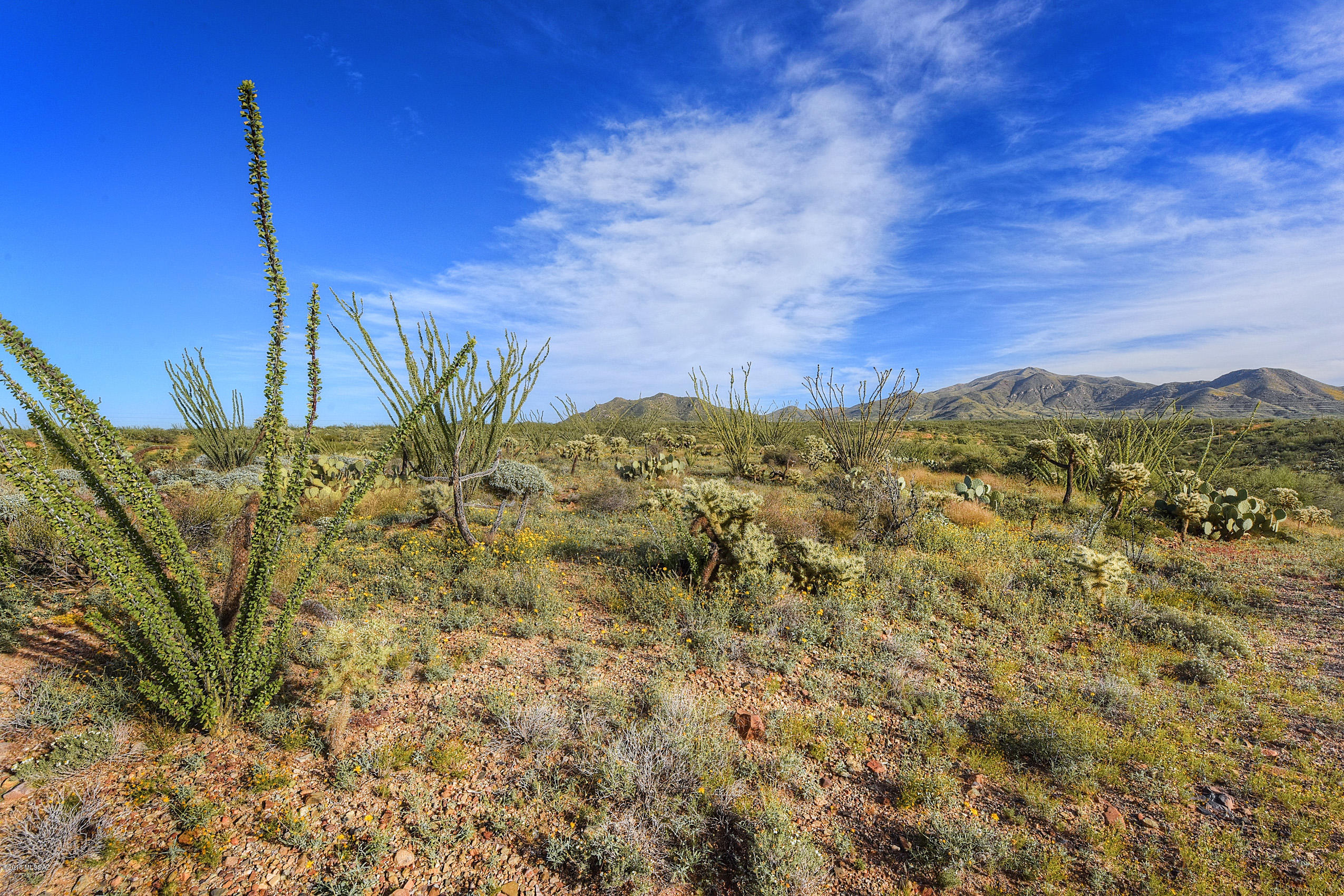 New Tucson Unit NO. 6 (1-75) - Land