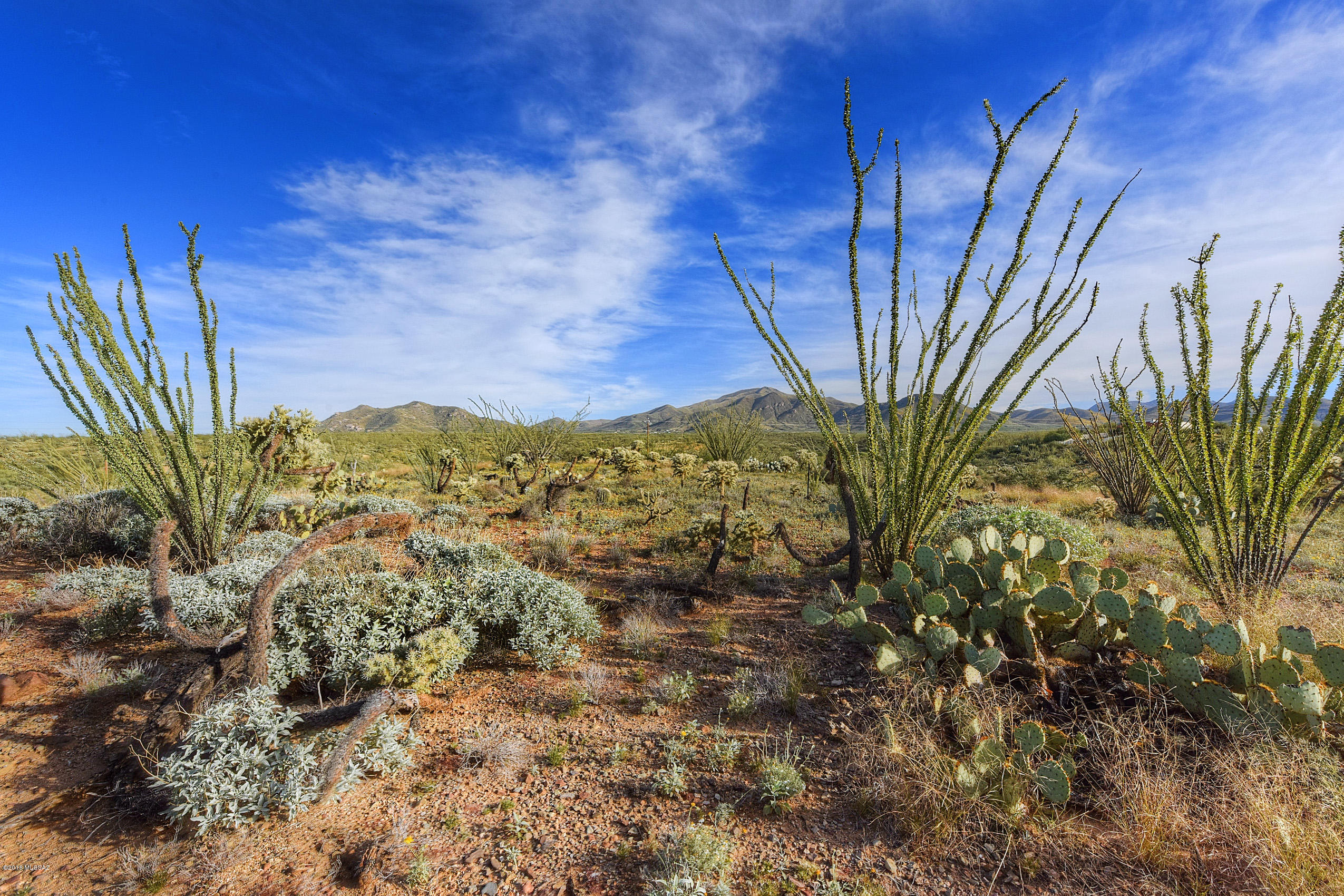 New Tucson Unit NO. 6 (1-75) - Land