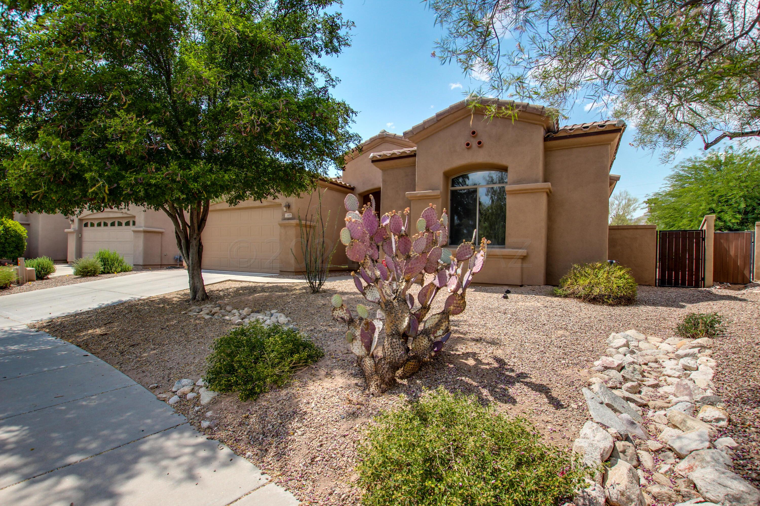 Village 1 At the Villages of La Paloma - Residential