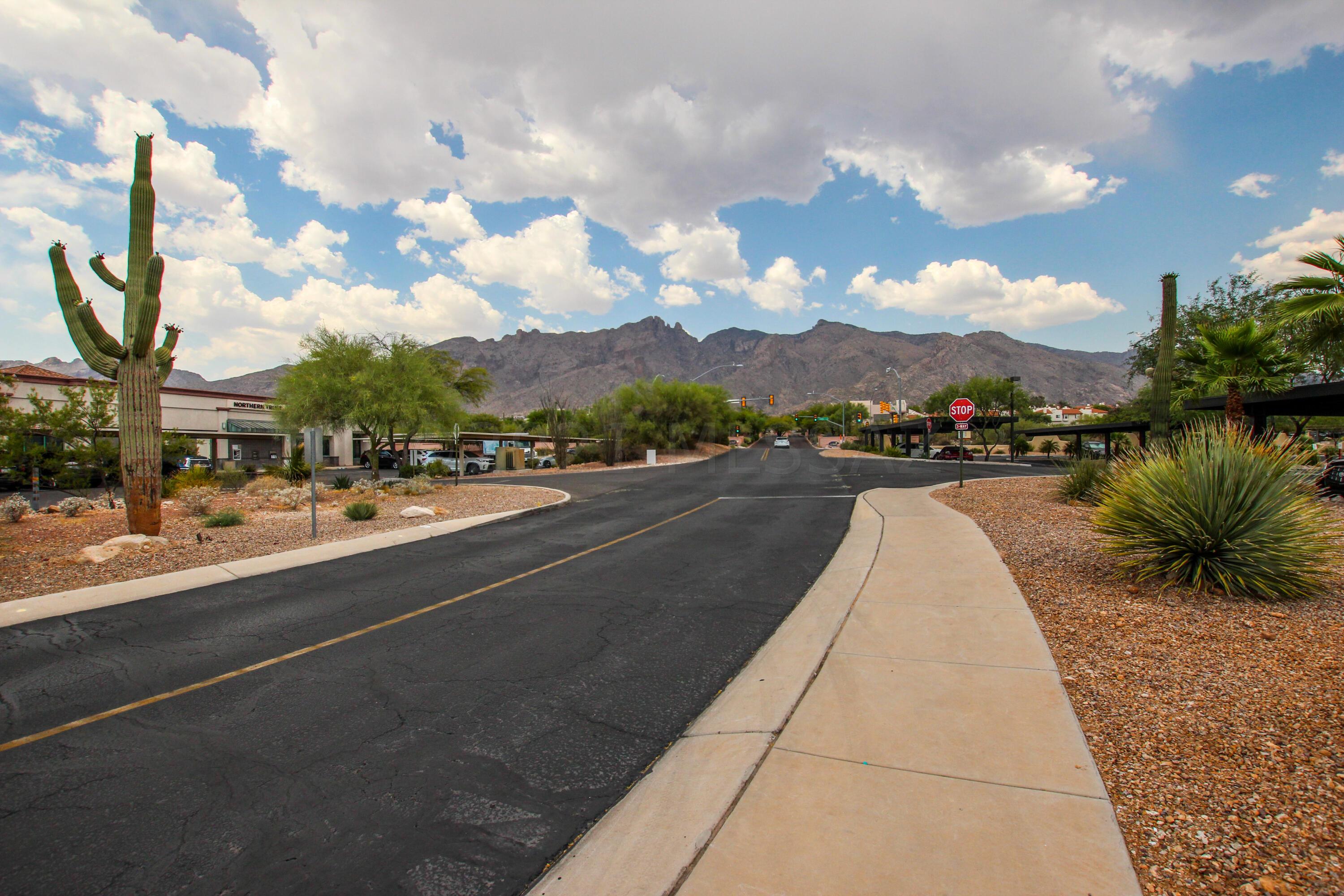 Village 1 At the Villages of La Paloma - Residential