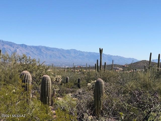 LAST EMPTY LOT on private road with gated entrance, near the end of Gates Pass. Excellent views on HUGE 3.5 acre lot - city, mountains, and Biosphere! Other subdivision lots have beautiful homes already built. See architect's notes under 'supplemental' on listing. Per Seller's architect: it appears there is enough buildable space on the north end of the property to fit a decent size house. Please refer to the attached sketch. We have around 5000sf of buildable area if we use the 2730' elevation line as our erosion hazard setback limit. (this is a guestimate from RFC). Buyer may have the pad engineered by a civil engineer, and have a flow analysis completed in order to set scour and erosion limits, and will need to mitigate riparian area. With the rest of the site given up for NOS (natural open space), it would seem reasonable to establish the entire pad as buildable. We do have a 50' wash setback, and that is where I have shown a red conflict with the garage space. We have enough room to stay out of that setback. Regarding septic, Buyer can also place a septic system in the wash setback area, as well as in the riparian space. Buyer may have a scour depth analysis completed on the septic system. The 10' side and rear setbacks for septic seem to work.