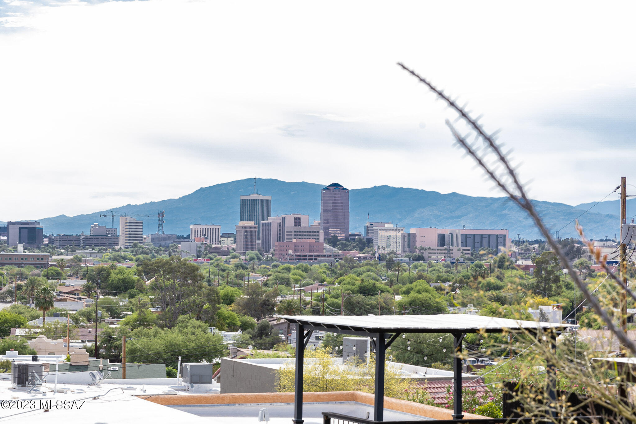 Tucson Terrace - Land