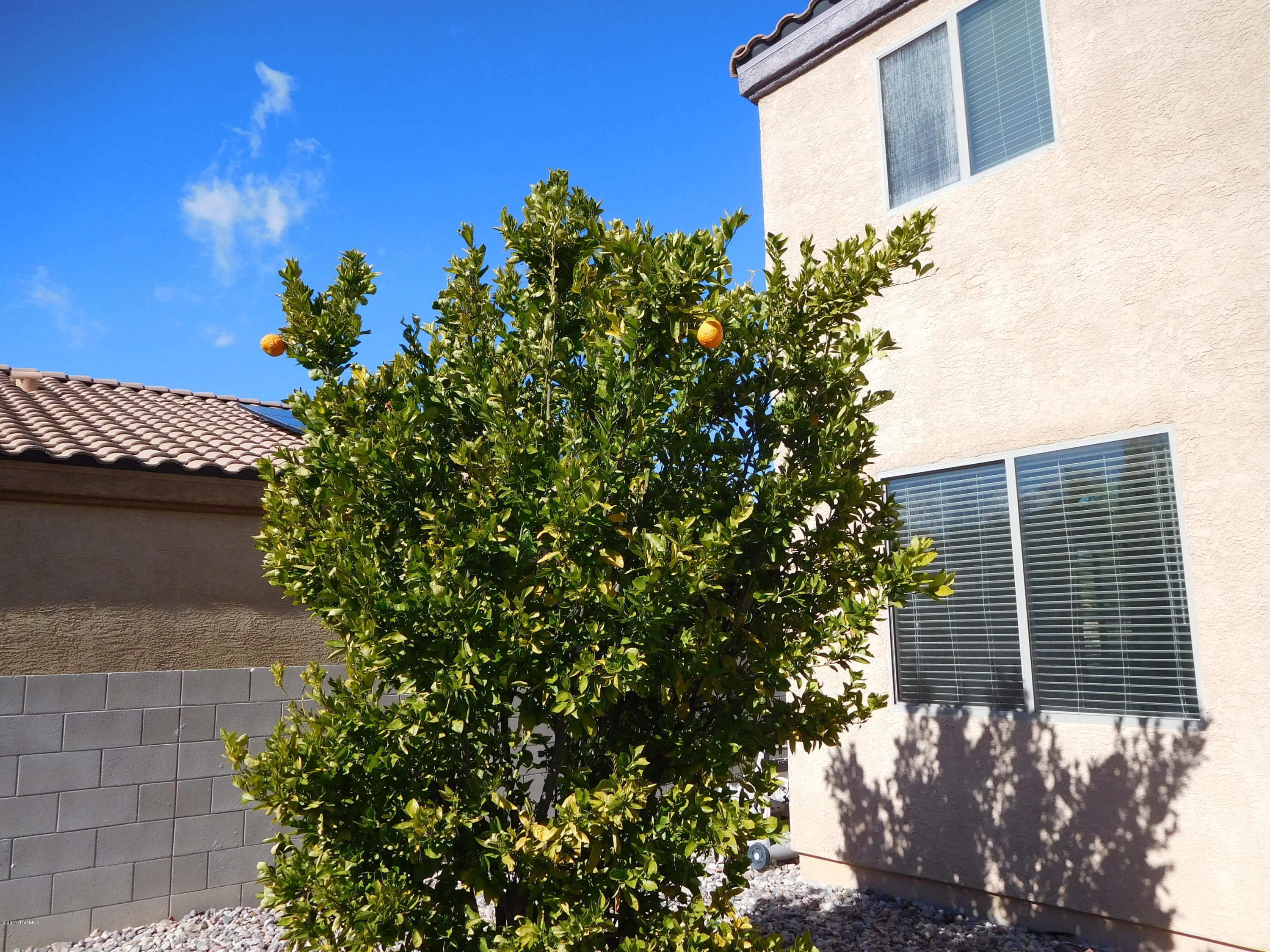 Vista Montana Estates - Residential