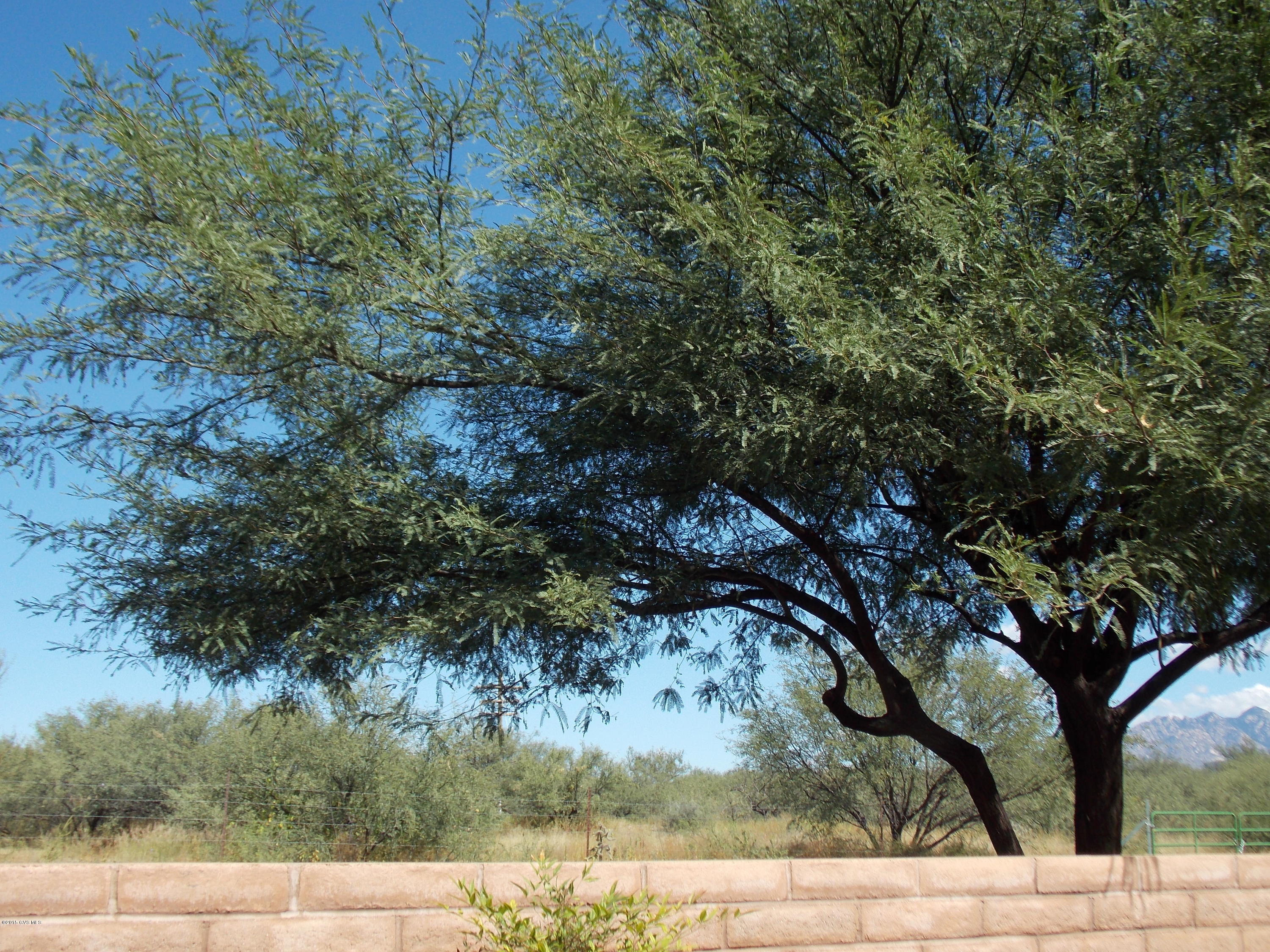 Barrio de Tubac - Residential