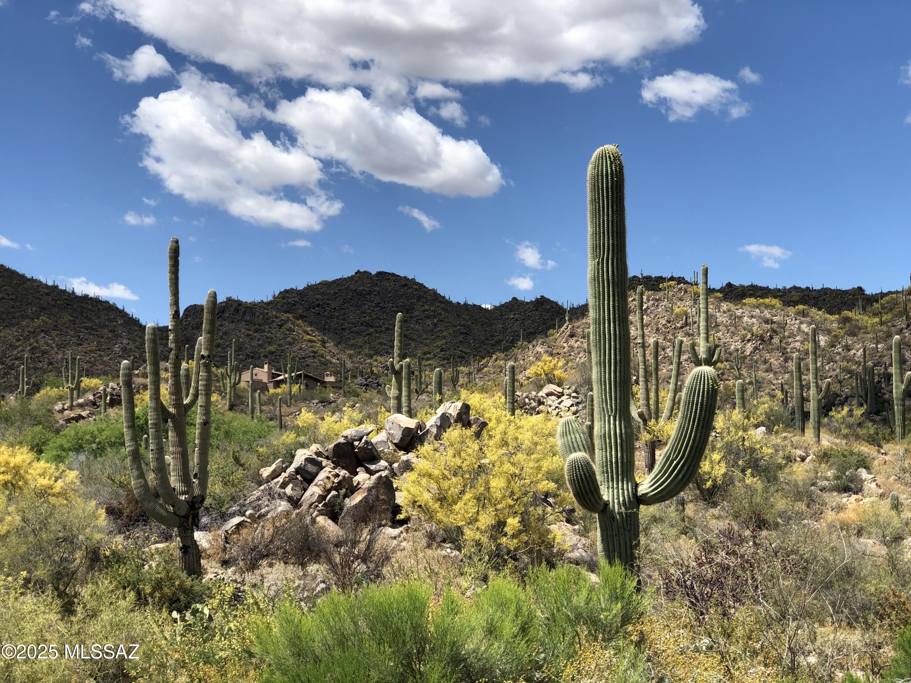 Stone Canyon II - Land