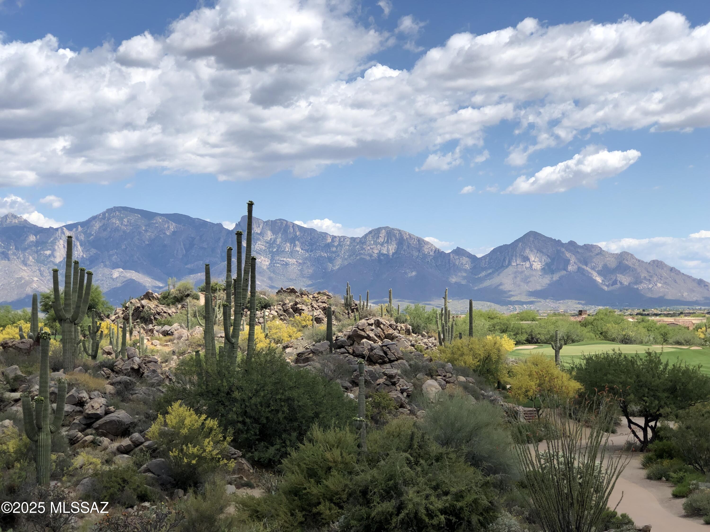 Discover a Hidden Gem of Desert Beauty
This exceptional homesite offers unmatched privacy and tranquility amidst the heart of a pristine desert landscape. Surrounded by dramatic boulder outcroppings, majestic saguaros, and sweeping vistas, it serves as the ideal canvas for creating a one-of-a-kind custom home.

Enjoy breathtaking views in every direction, from the rugged beauty of the Catalina Mountains to the vibrant sunsets over the golf course. Whether you are seeking a peaceful retreat, creative inspiration, or the ultimate private getaway, this property is a must-see.
Located within The Stone Canyon Club, a guard-gated, private golf community celebrated for its luxurious lifestyle, this homesite promises an extraordinary living experience. The community features 24/7 security and is home to the Jay Morrish-designed world-class golf course, consistently ranked among the best and most scenic in the country.
Contact me today for your personal tour and to explore the conceptual custom design by renowned architect Ron Robinette.