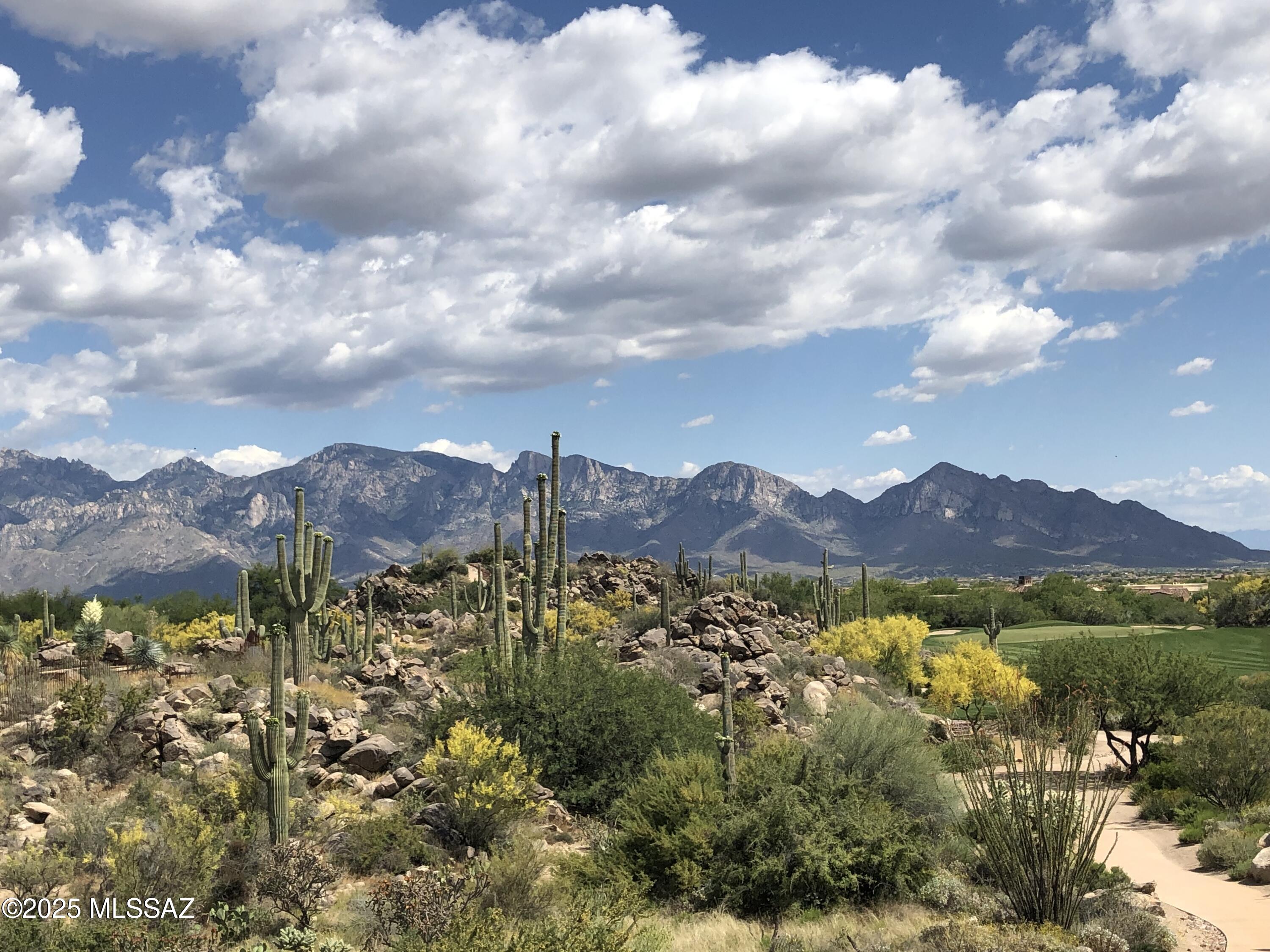 Stone Canyon II - Land