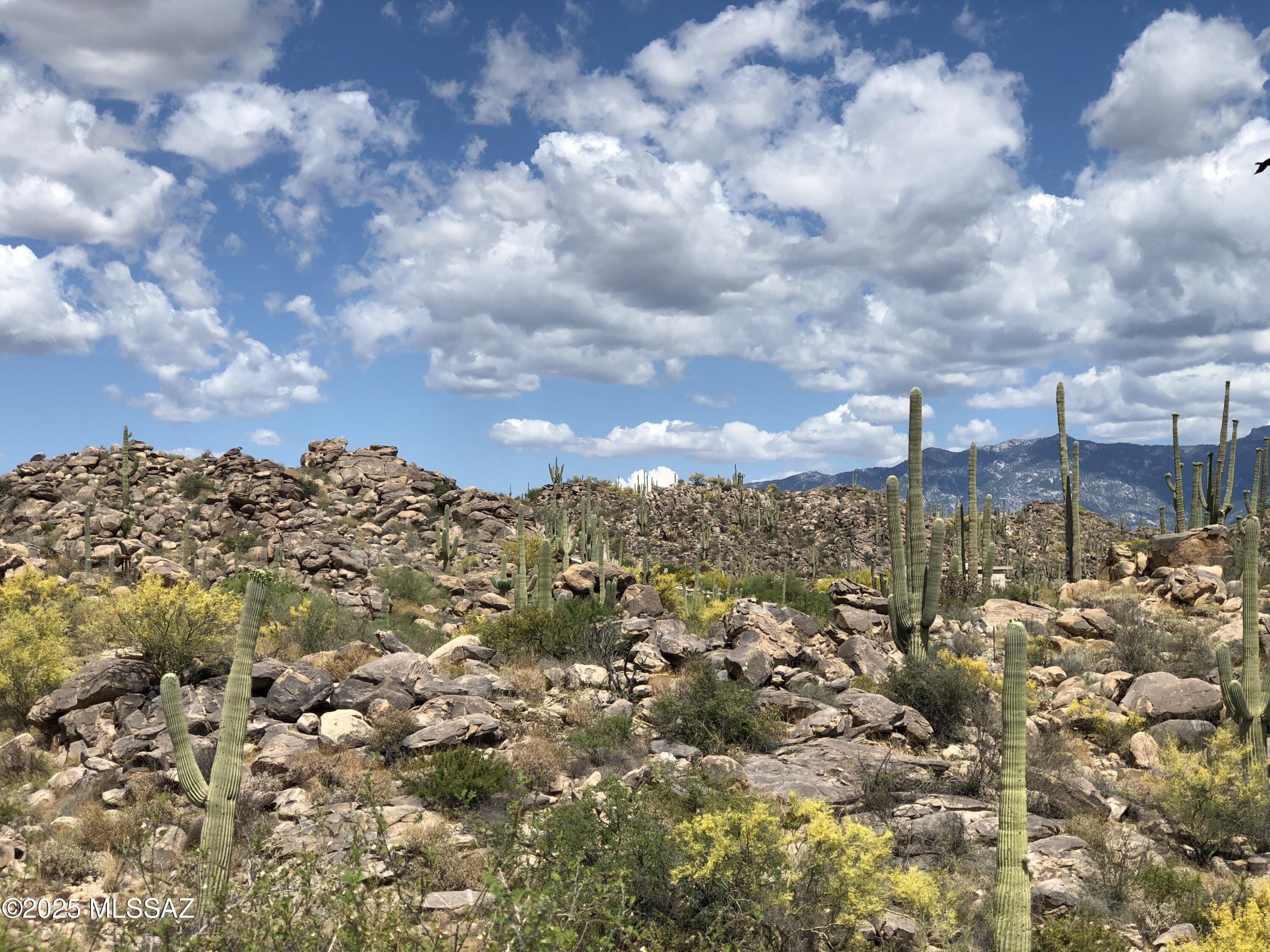 Stone Canyon II - Land