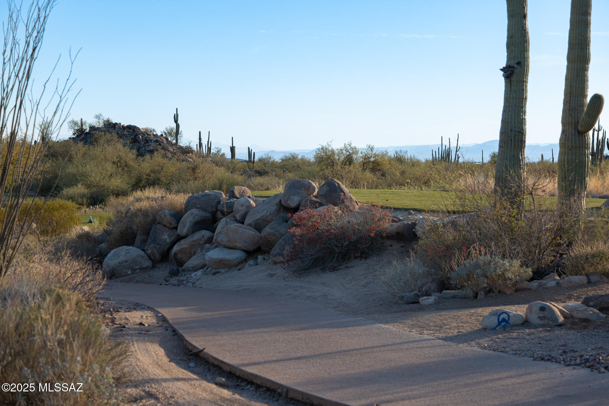 Stone Canyon II - Land