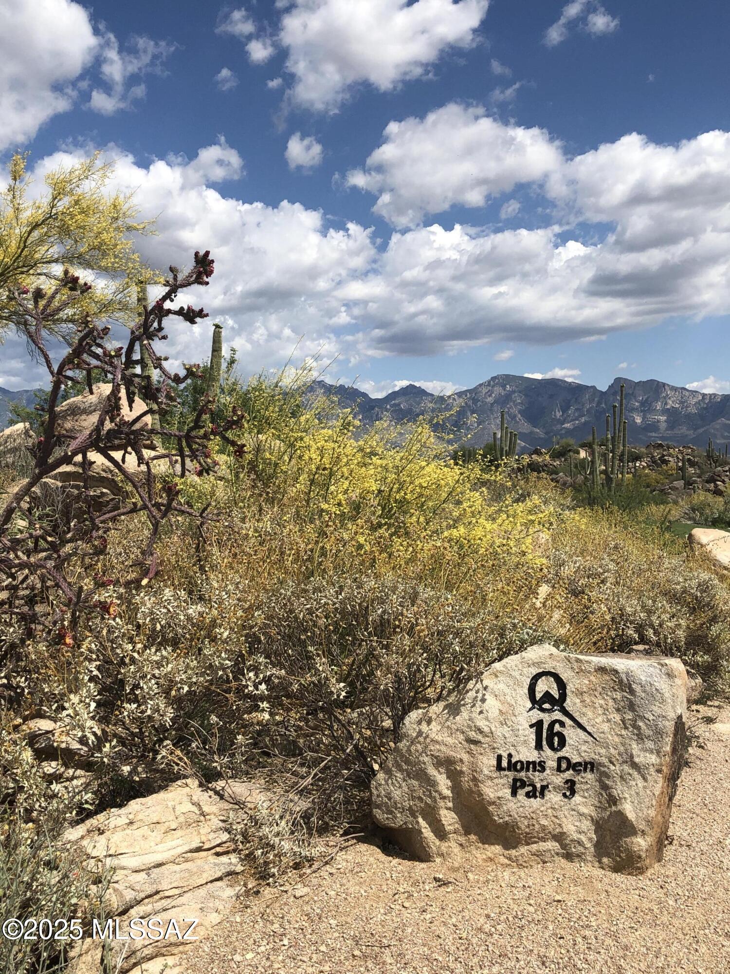 Stone Canyon II - Land