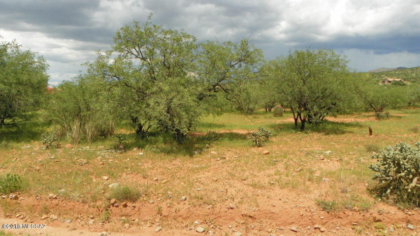 Rio Rico Ranchettes 18 - Land