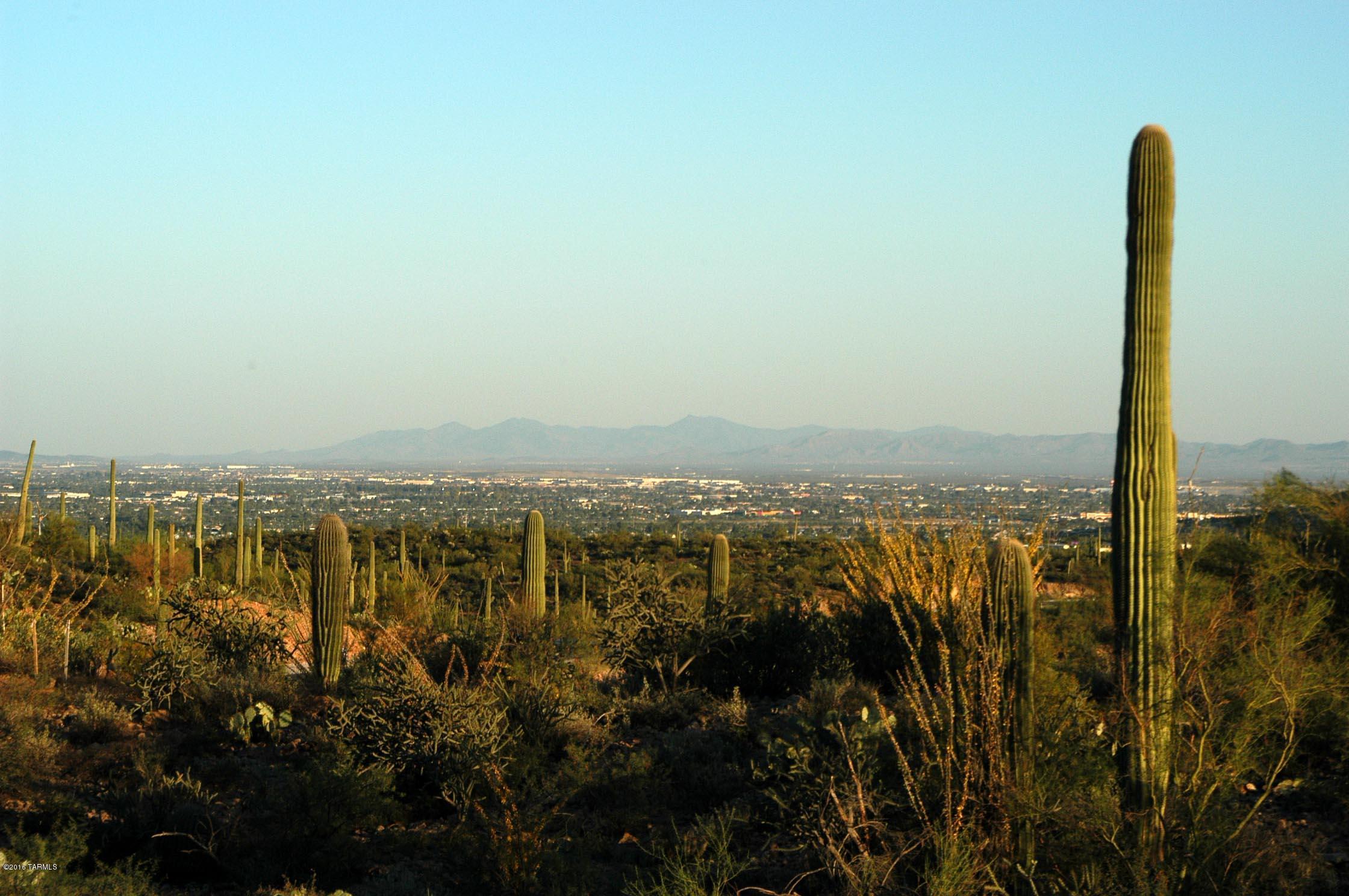 Wildcat Pass in Starr Pass the most beautiful gated community surrounded by Tucson Mountain park, Saguaro Forest, million dollar plus custom homes and full membership initiation fee included in the land sale is the subdivision this lucky lot resides. Agents work for the developer of Starr Pass since its inception. Work out of this clubhouse and can walk the property with all the plants and historical information you would need. 10 minutes from downtown, trolley car, historic restaurants, U of A, Pima College and home of the JW Marriott Starr pass Resort and Spa. Dark skies to enlighten your night with twinkling stars of the galaxy. You will love the view and the environment.