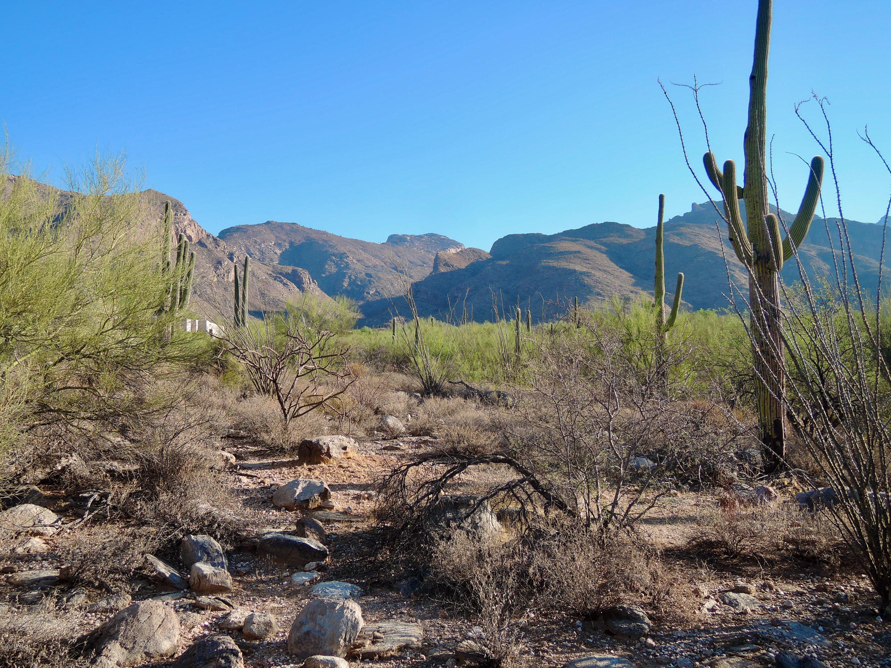 Pima Canyon Estates (309-323) - Land