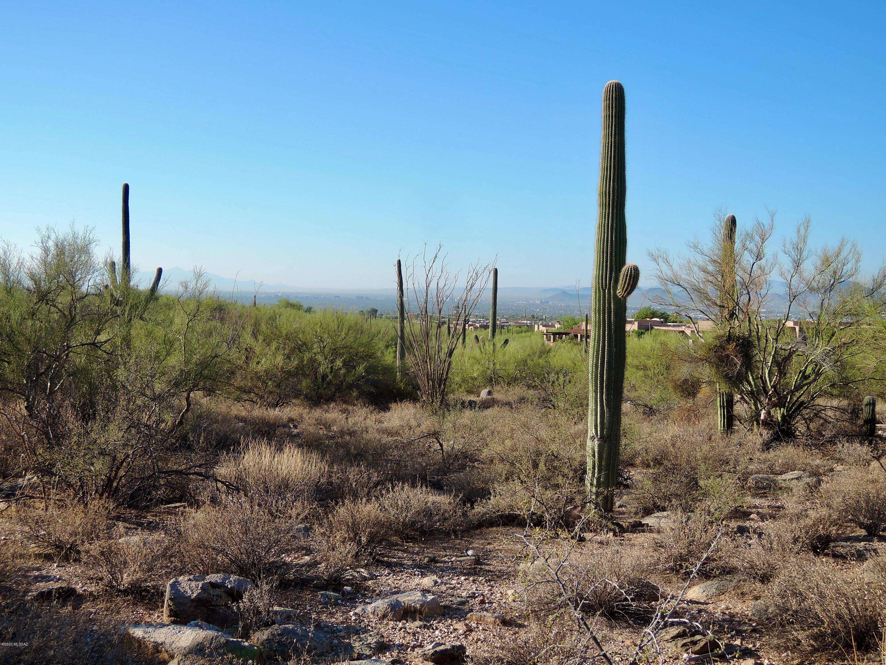 Pima Canyon Estates (309-323) - Land