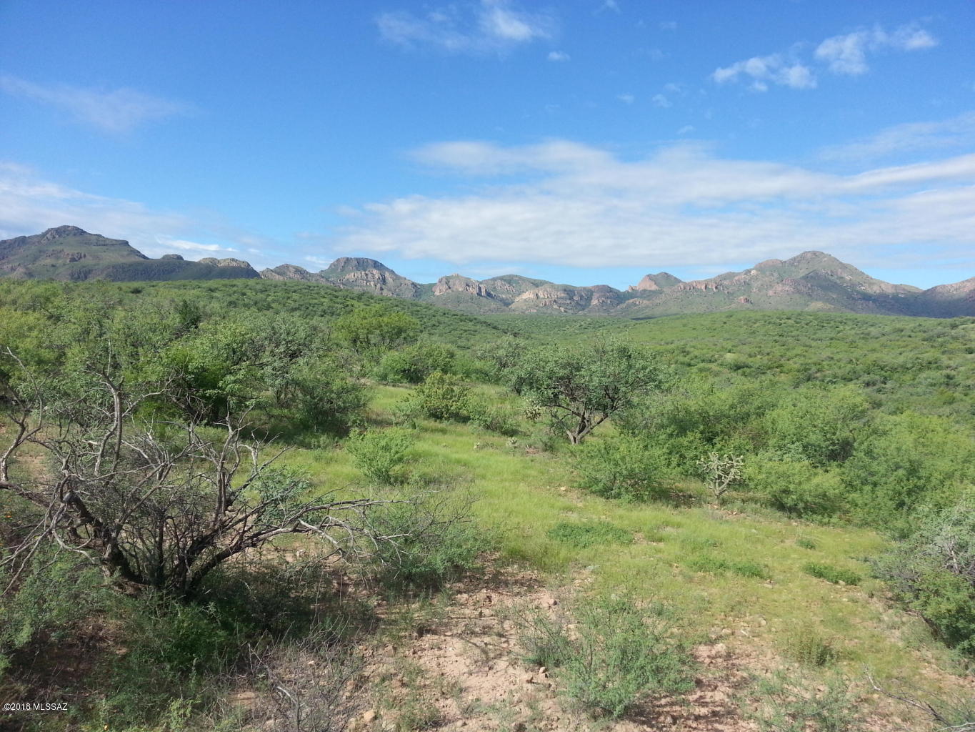 Very private lot on a cul-de-sac with lovely views.  Nice vegetation.