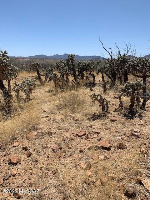 Rio Rico Ranchettes - Land