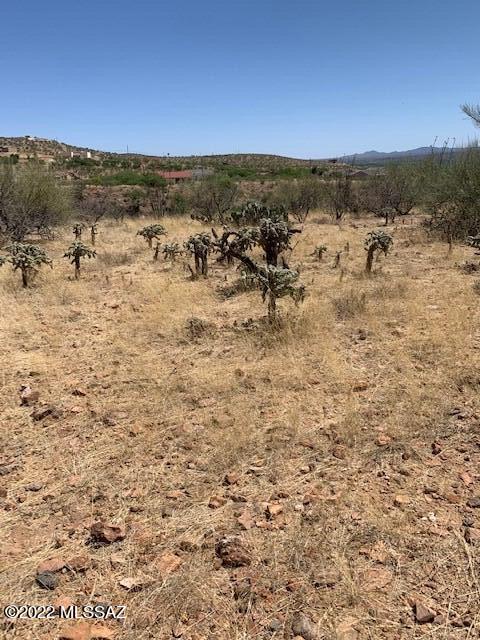 Rio Rico Ranchettes - Land