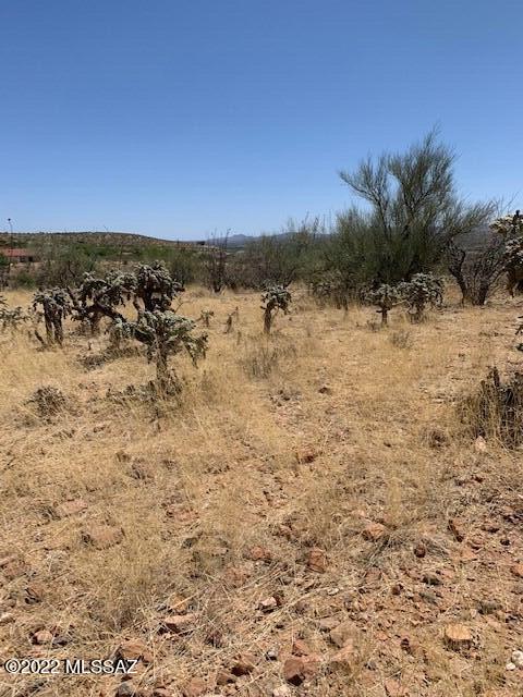 Rio Rico Ranchettes - Land