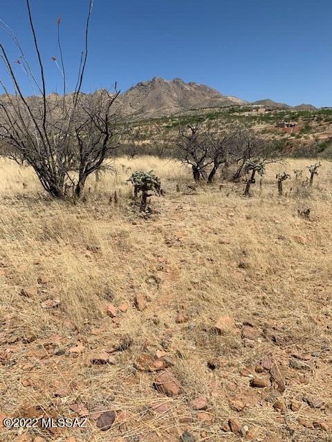 Rio Rico Ranchettes - Land