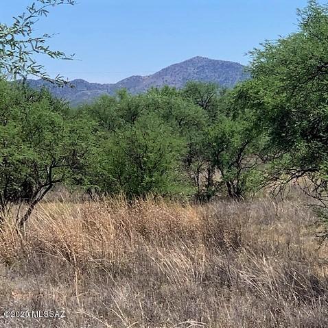 Escape the city, congestion and create your own Country Oasis. This lovely, mostly level property has many mature
Mesquite Trees, Desert Wild Flowers and vegetation at approx. 3800 ft. elevation cooler than Tucson Temps. Plant your own garden, raise your own beef, horse back riding or just relax watching the colorful sunsets and night skies filled with twinkling stars. This property is nicely secluded with panoramic mountain views, yet is located only approx. 1/2 mile to paved Universal Ranch Road and approx. 1/2 mile to the Arivaca Road. The historic townsite of Arivaca has a small town feel located only a couple miles away. Enjoy fishing in the nearby Arivaca Lake (approx. 5 miles from the town of Arivaca) hunting, hiking , bird watching , atv riding, and exploring a Ghost town Like Rub