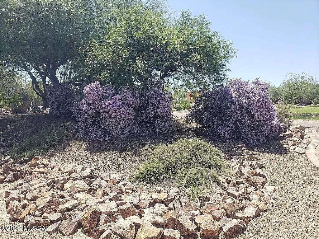 Rancho Del Este (149-187) - Residential