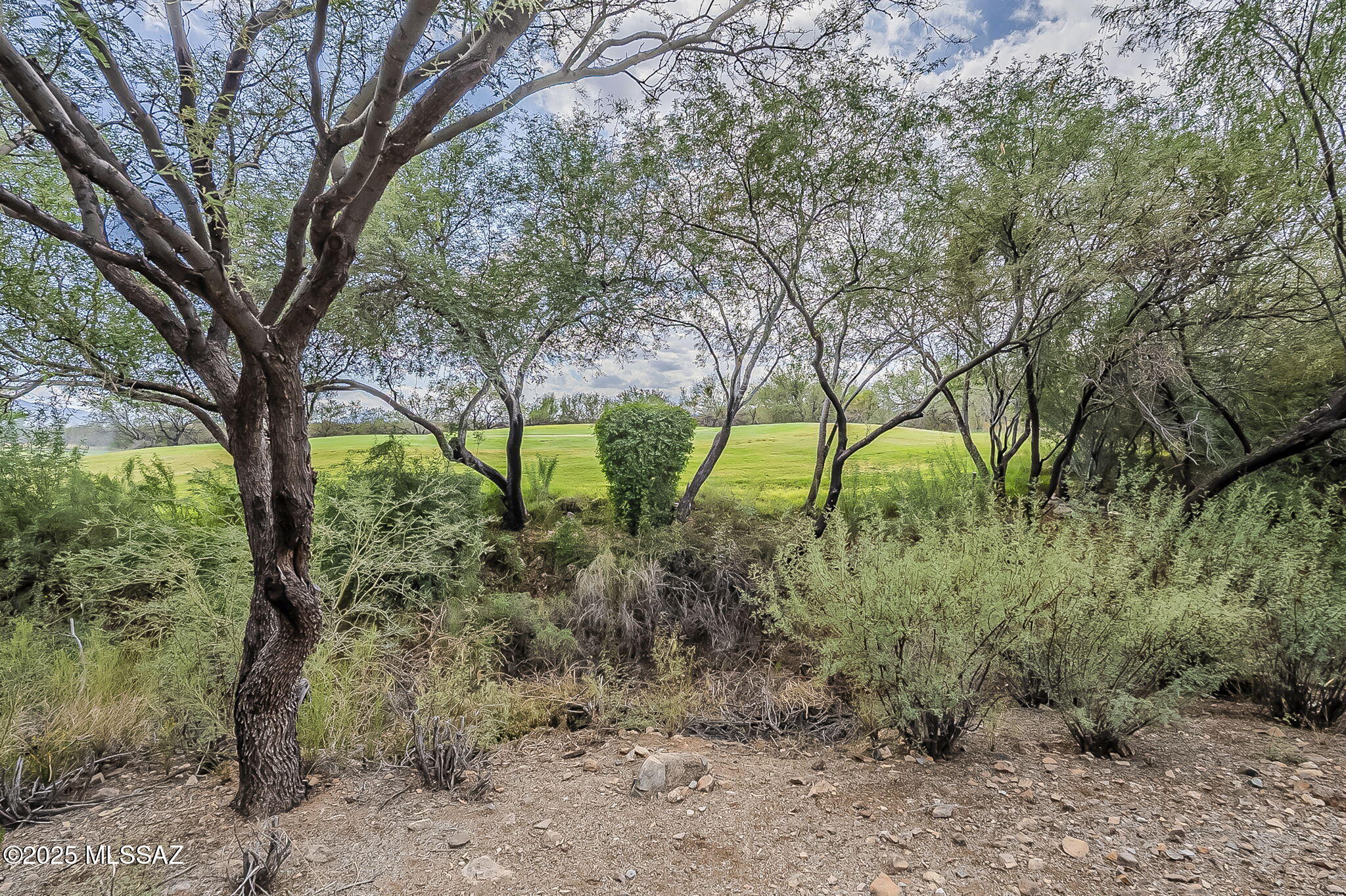 Canoa Ranch Block 22 & PTN Block 27 - Residential