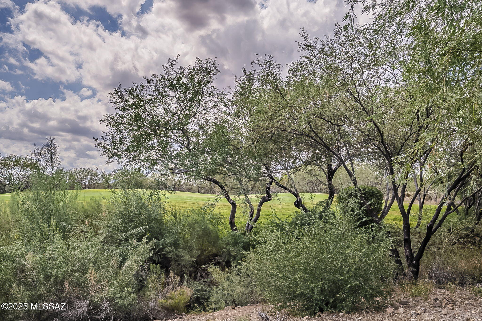 Canoa Ranch Block 22 & PTN Block 27 - Residential