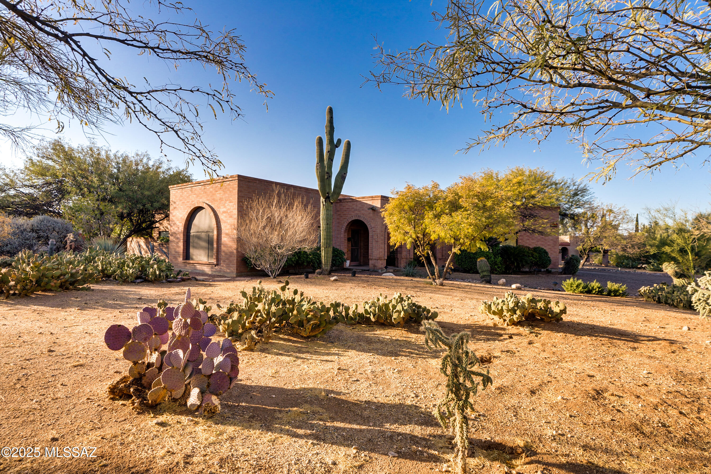 Recently refreshed territorial treasure in Greater Tucson's coveted Casas Adobes - minutes away from premium retail, upscale dining, and world-class recreation.

Indoors, enjoy high-ceiling lofty living room (with exquisite arch-window showcasing picture-perfect views of the Santa Catalinas), expansive great room with fireplace off spacious open-concept kitchen, outstanding Owner's Suite with large walk-in closet, and double-doors to spa-style bathroom with separate shower & soaking tub. Opposite wing of property features 3 additional bedrooms, full bathroom with double-vanity, laundry/utility room, and passthrough restroom (half-bathroom). Extended 2 car garage features adjacent sizable dynamic workshop area. Outdoors, extensive front grounds feature diverse cactus garden and tasteful desert hardscape, majestic mountain views from walled front covered patio - as well as from walled private patio off Owner's Suite. Covered back patio leads out to sprawling backyard oasis - with premium pool, lush lawn, garden fountain, step-stone path, vined trellises, plus trees including meandering mesquites & mini poolside palms - serving as serene sanctuary as well as enticing entertainment space, securely enclosed with elegant ocotillo fencing punctuated by brick masonry columns.