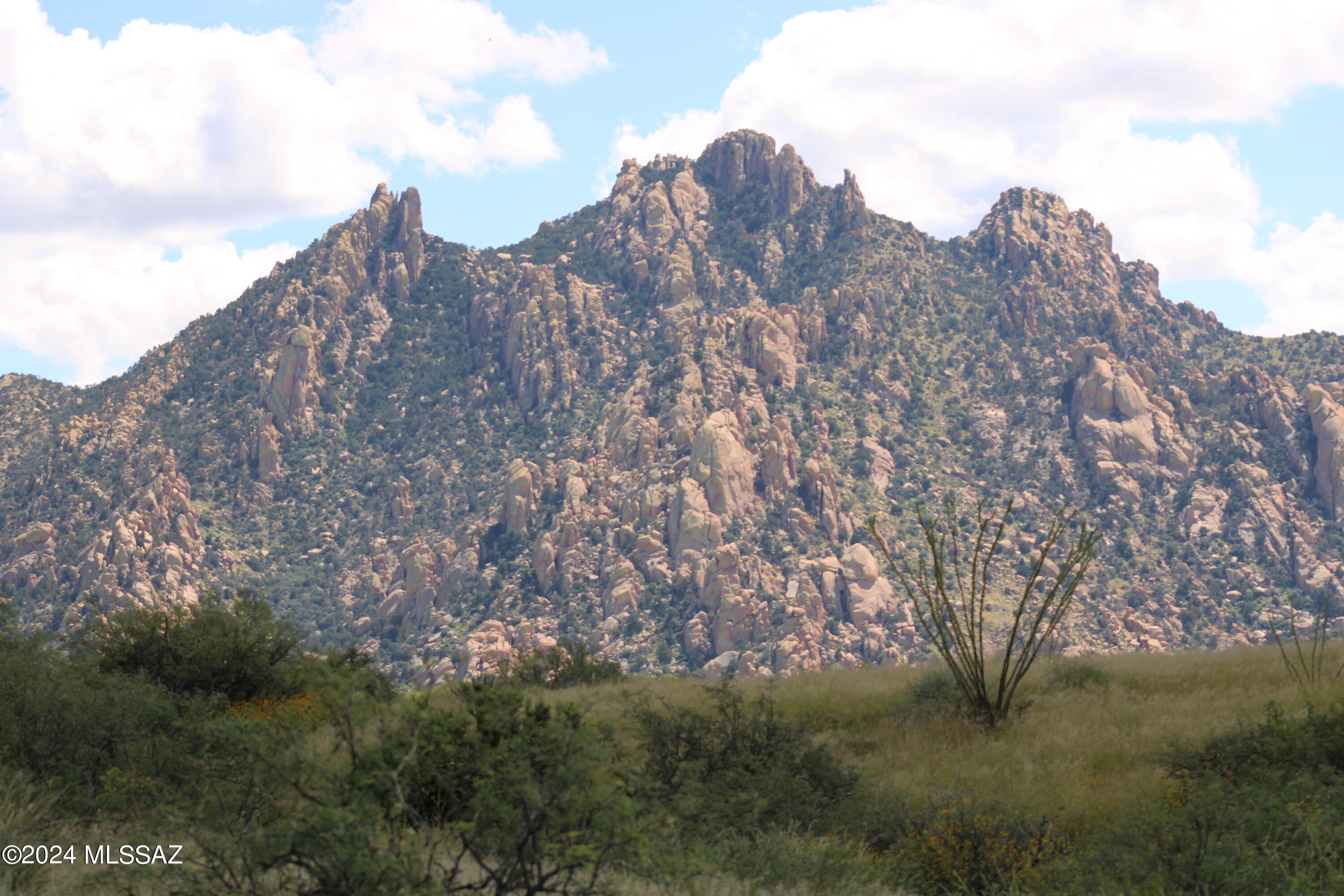 Spectacular property with panoramic mountain view. This property borders Stronghold Canyon Reserve with electric, phone and fiber optics at lot line.  The Dragoon Mountain Ranch subdivision is in St David AZ. The ranch consists of approx 14,000 acres and adjoins 52,000 acres of the Coronado National Forest wilderness area. The ranch is also adjacent to thousands of acres of State Trust lands. Both the National Forest and State Trust lands provide a wildlife sanctuary. The adjacent Dragoons as well as the Rincons range to an elevation of over 7000 feet. Nearby towns and cities are Benson, Bisbee, Tombstone, Willcox and Sierra Vista all in Cochise County. Tucson is about an hour drive from the ranch and has a population of over a ½ million