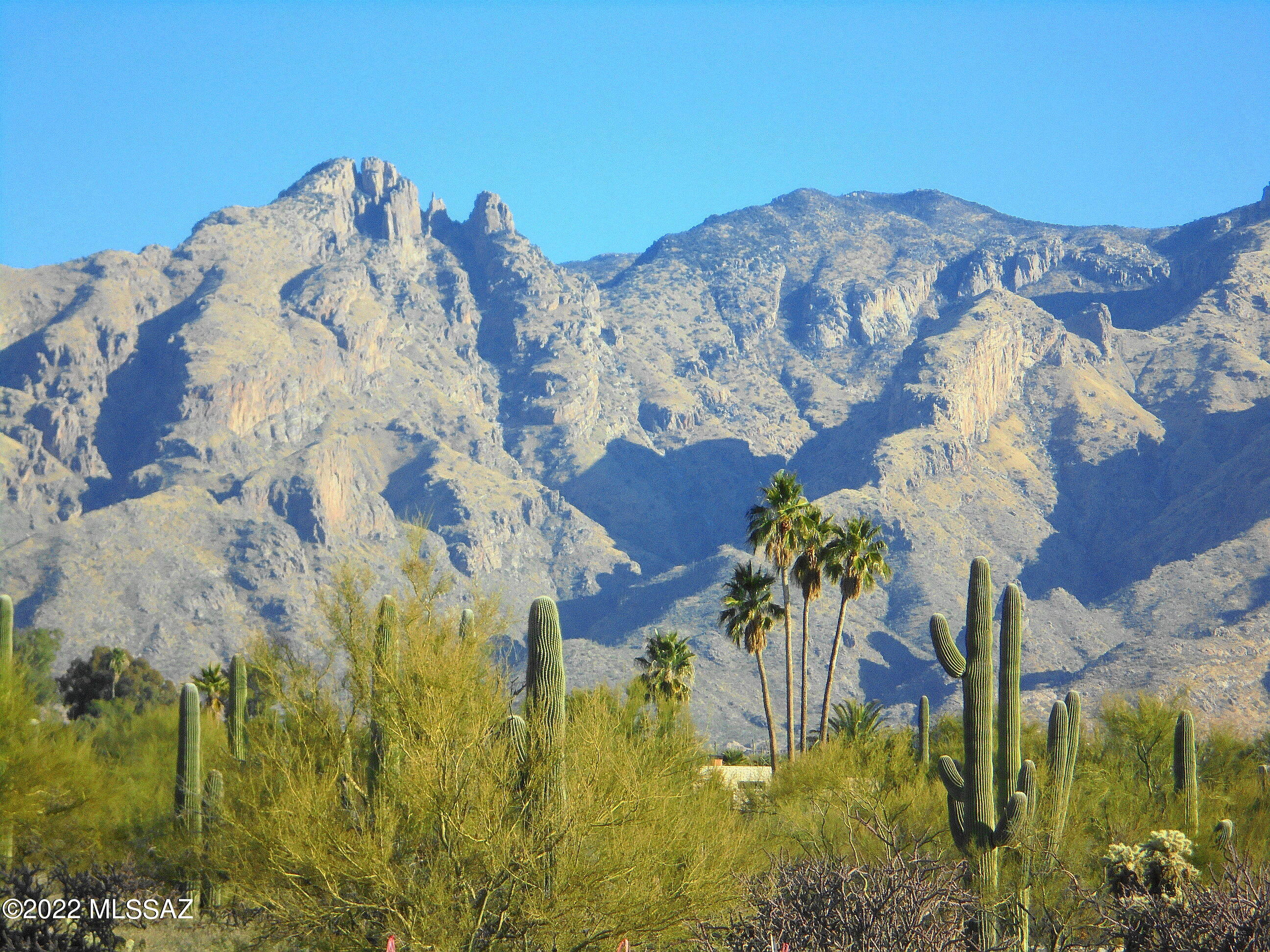 Catalina Foothills Estates - Land