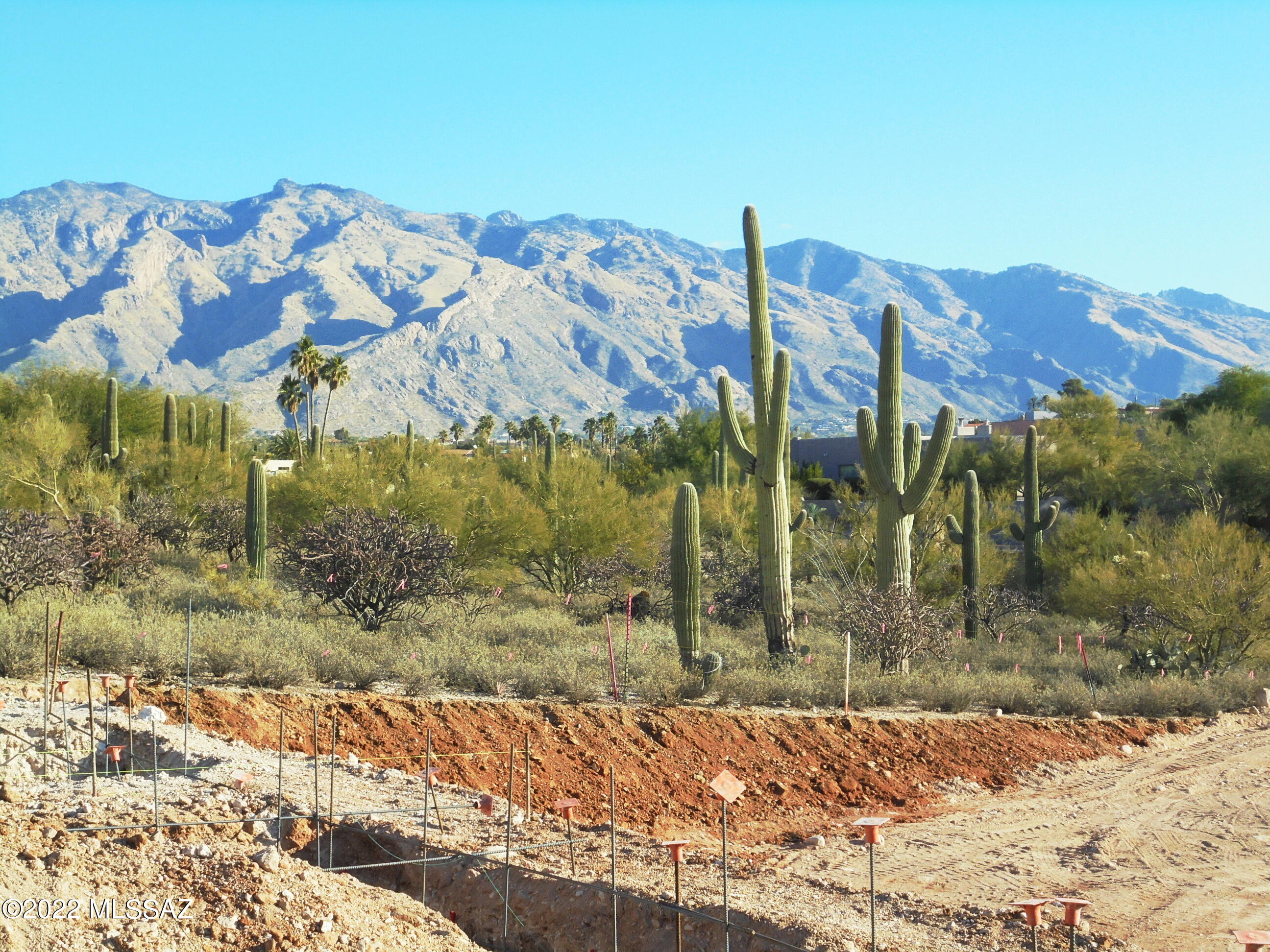 Catalina Foothills Estates - Land
