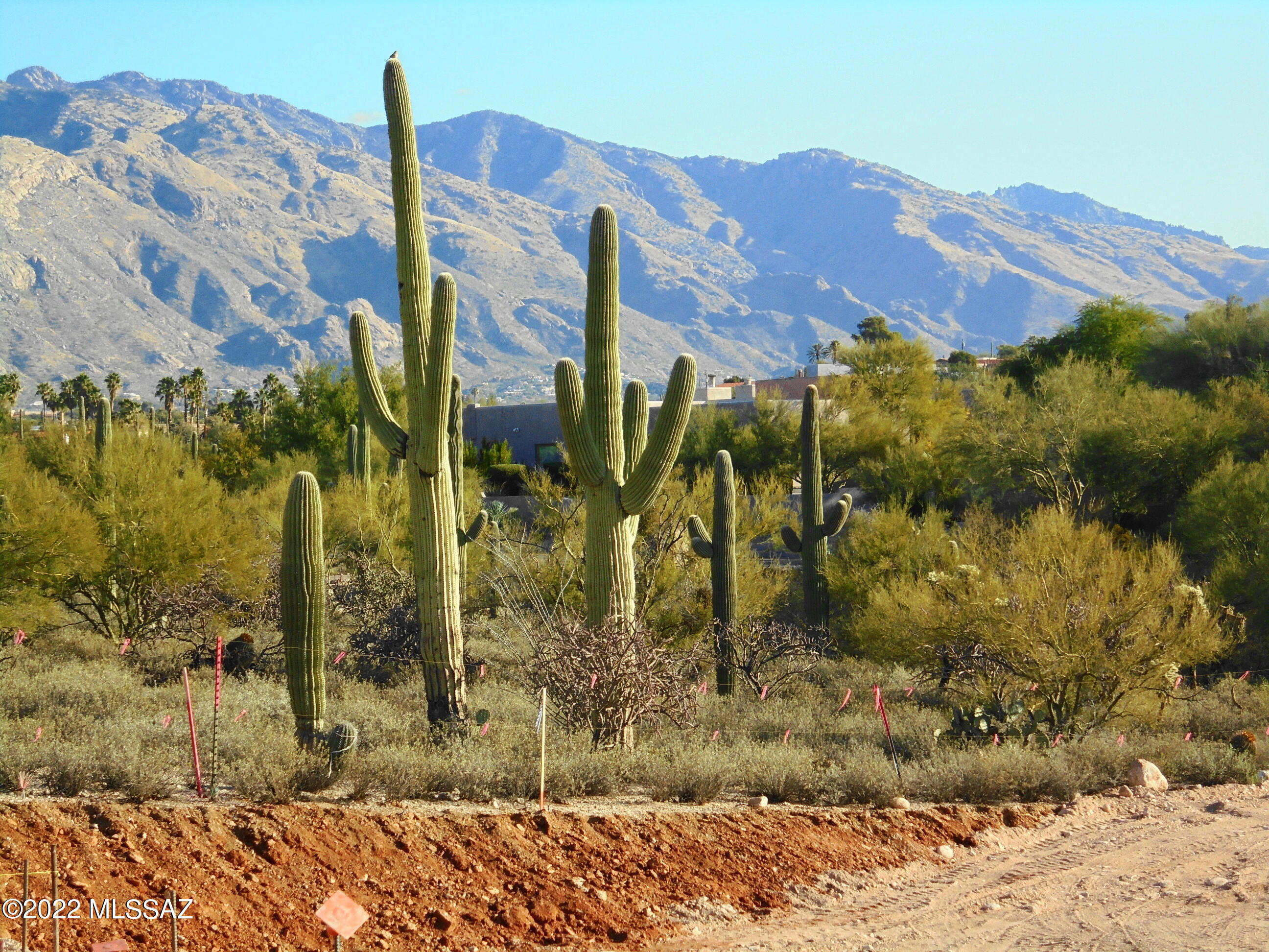 Catalina Foothills Estates - Land