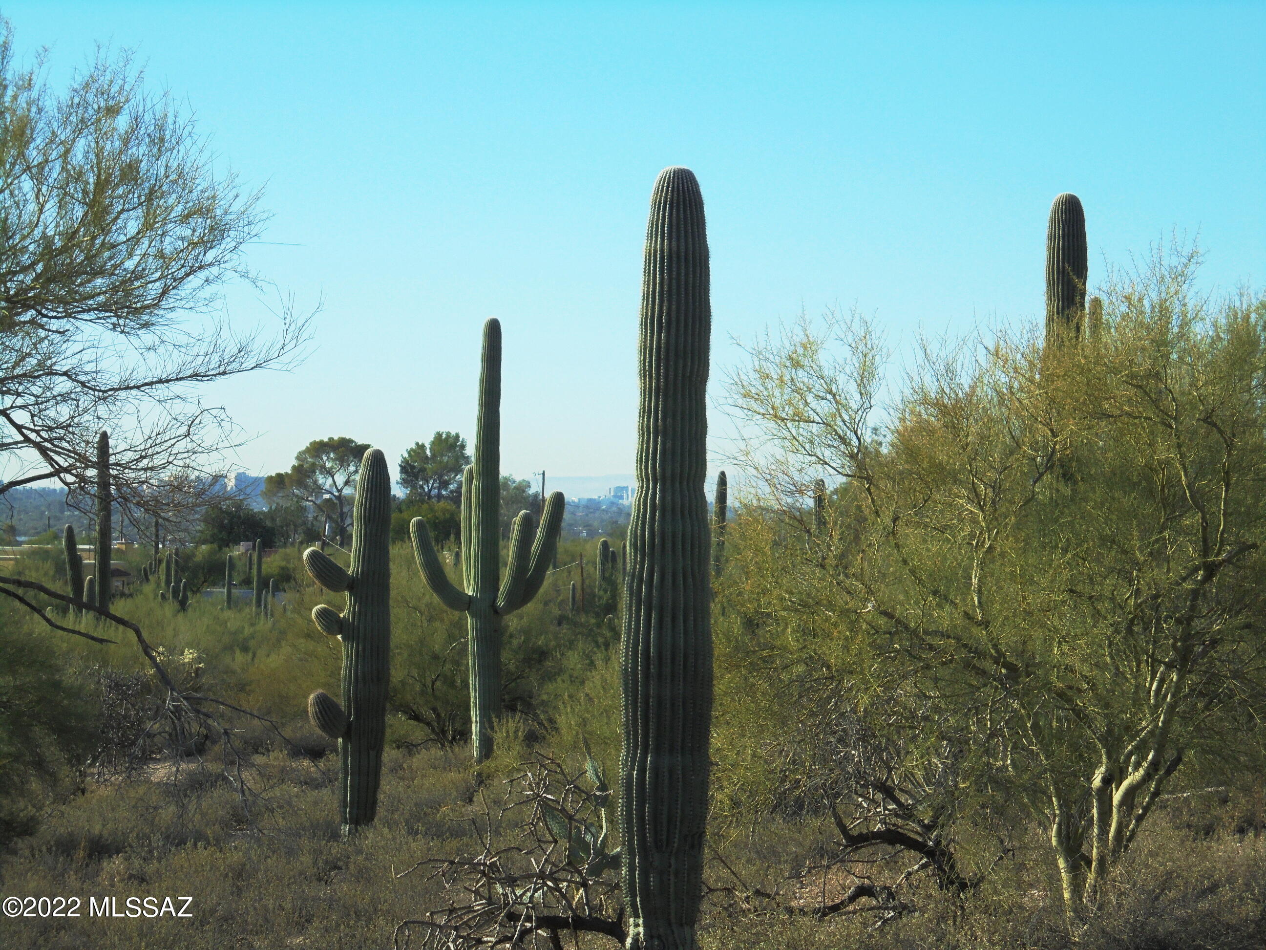 Catalina Foothills Estates - Land